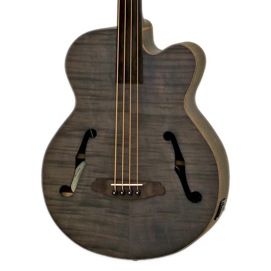 Aria FEB-F2/FL-STBK Full Scale Fretless Stained Black Acoustic Bass