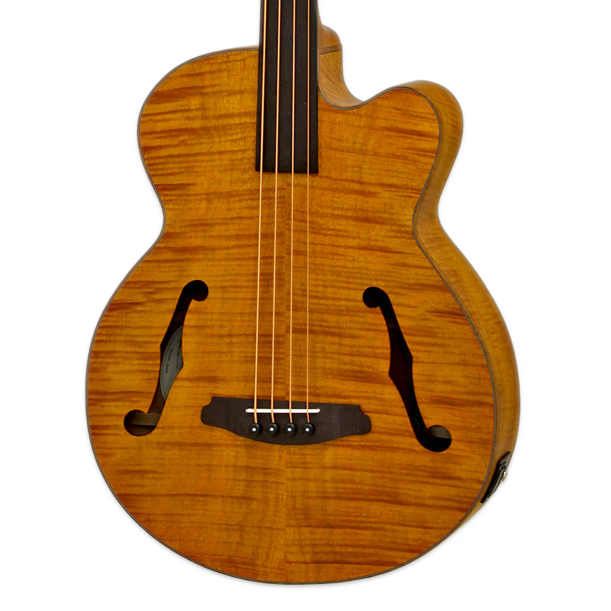 Aria FEB-F2/FL-STBR Full Scale Fretless Stained Brown Acoustic Bass with Bag