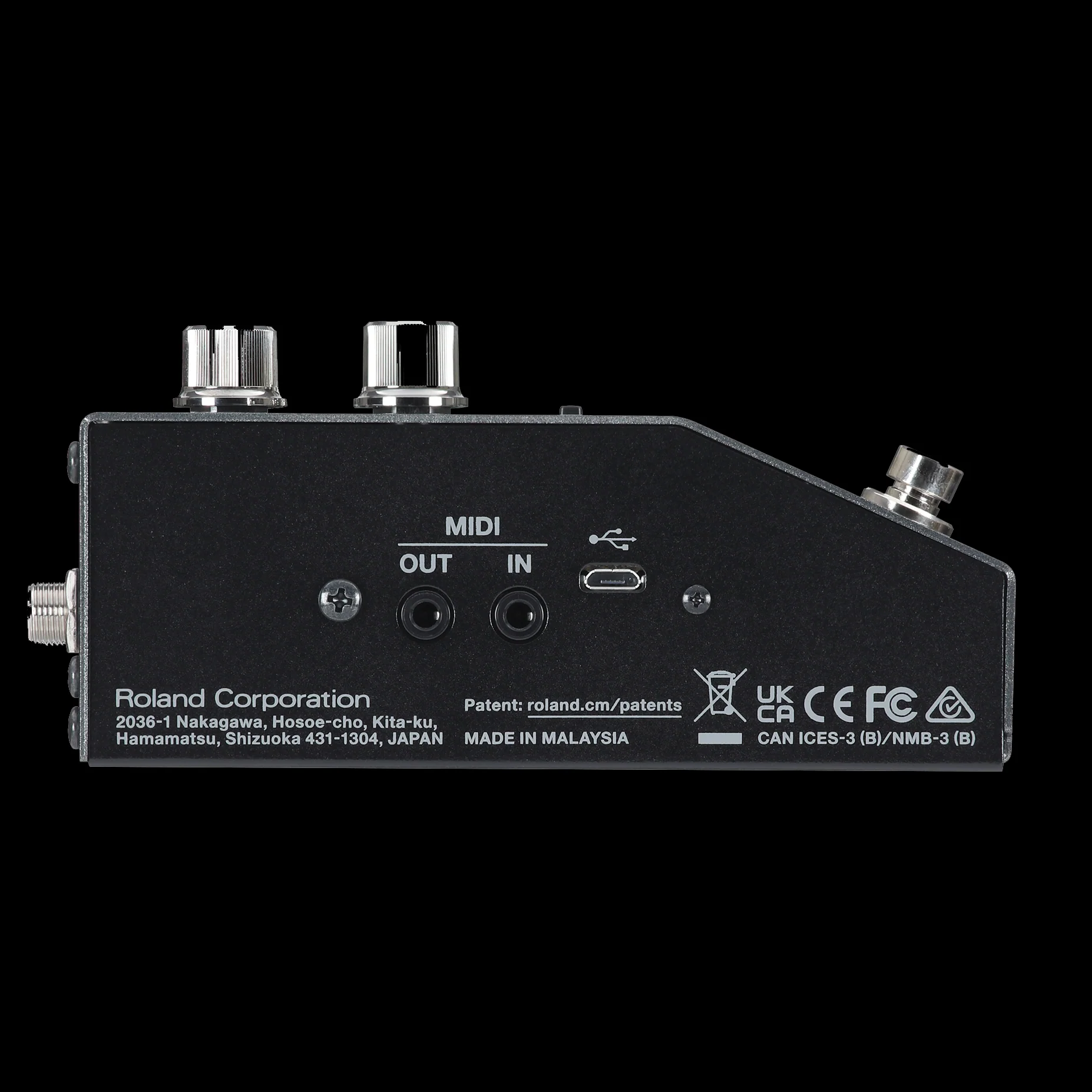 Boss RV-200 Reverb Pedal - Image 3
