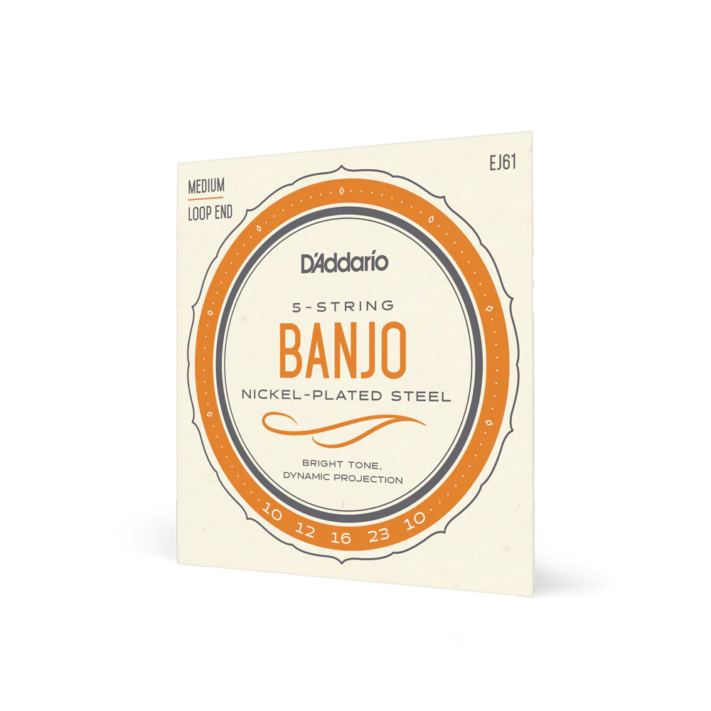 D'Addario EJ61 Set Banjo Nickel Wound 10-23 Medium Strings - Image 2