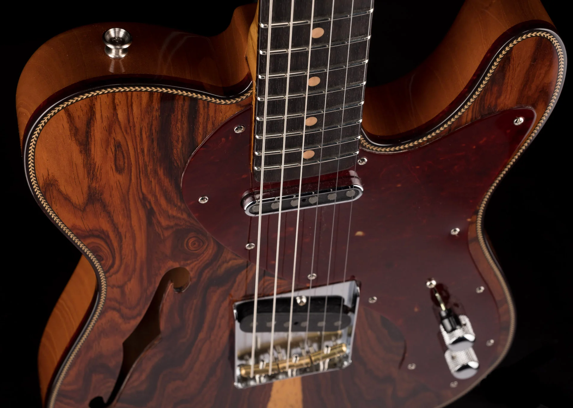 Fender Custom Shop Artisan Cocobolo Thinline Telecaster NOS Shellac Amber - Image 10