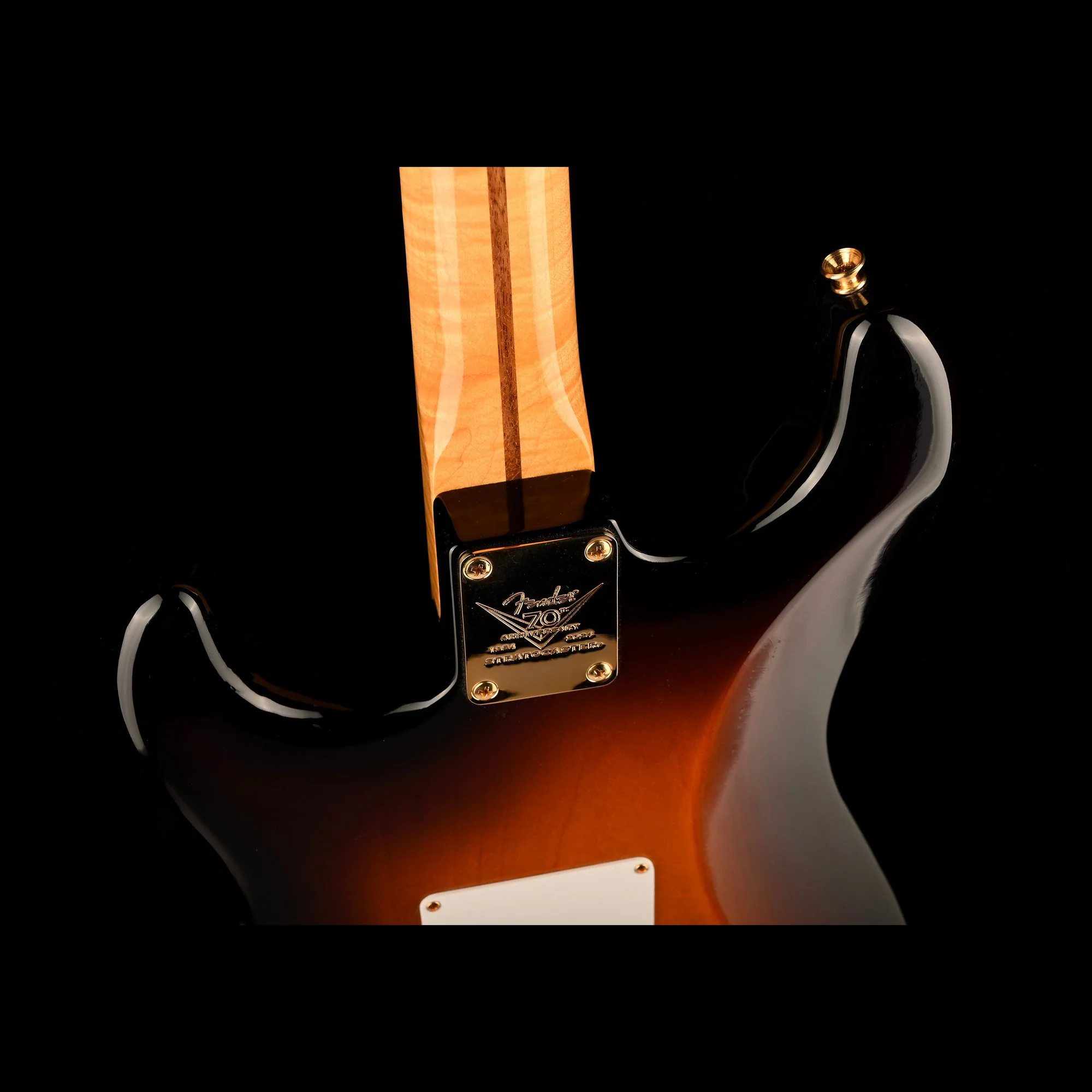 Fender Custom Shop Limited Edition Masterbuilt David Brown 70th Anniversary 1954 Stratocaster Deluxe Closet Classic - Serial # XN5417 - Image 14