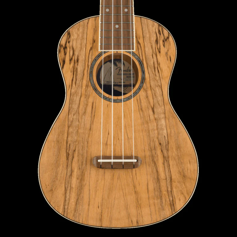 Fender Zuma Exotic Concert Ukulele Walnut Fingerboard Spalted Maple