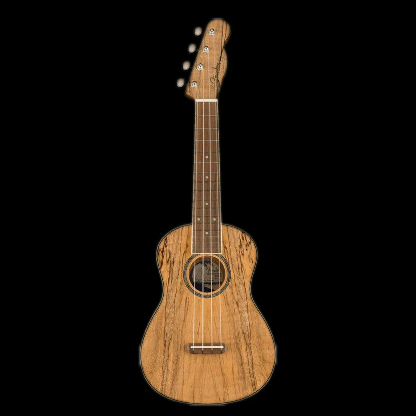 Fender Zuma Exotic Concert Ukulele Walnut Fingerboard Spalted Maple - Image 3