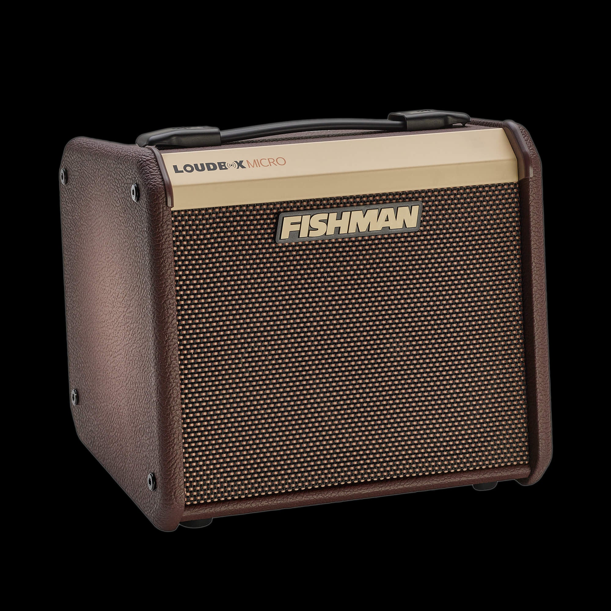 Fishman Loudbox Micro Guitar Amplifier Combo - Image 3