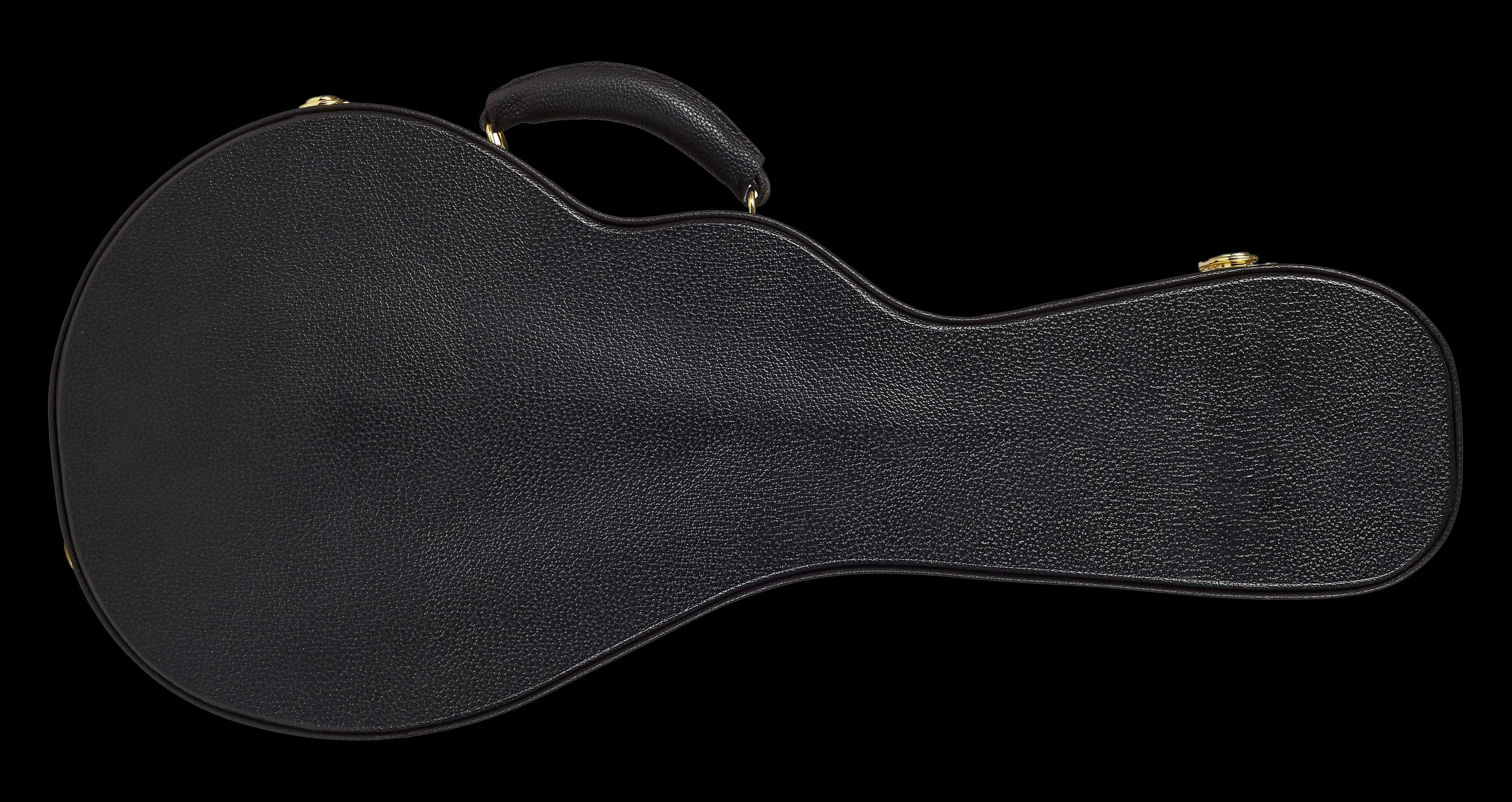 Guardian CG-020-MF Hardshell Case-Mandolin F-Model - Image 2
