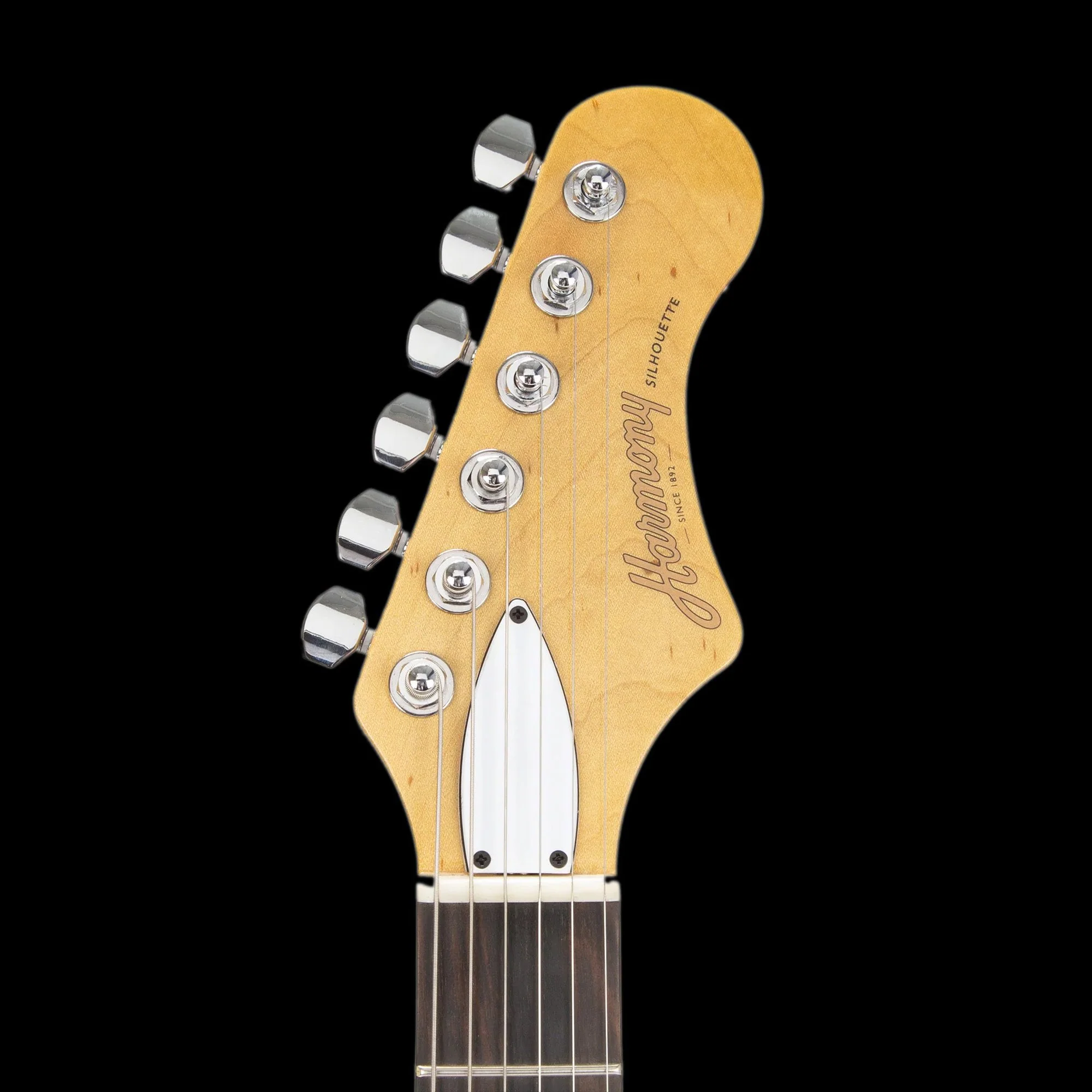 Harmony Standard Silhouette With Bigsby Space Black with Mono Case - Image 8
