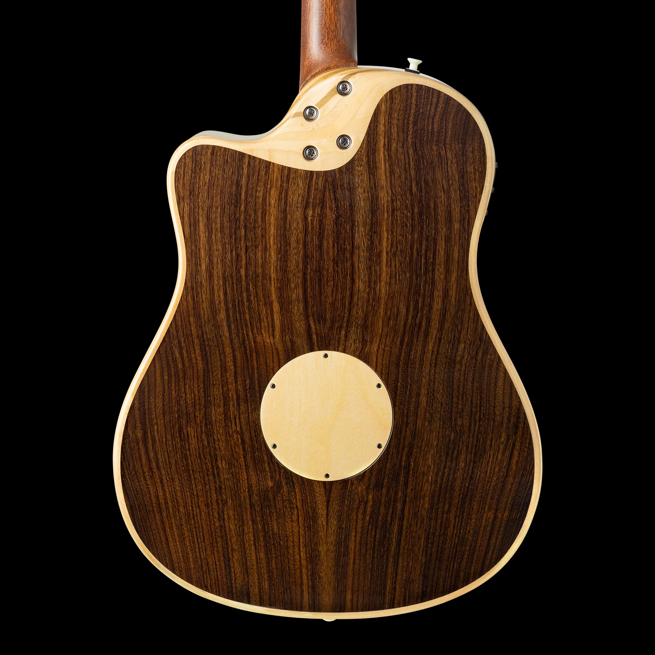 LR Baggs AEG-1 Torrefied Acoustic Electric Guitar With Softshell Case - Image 2