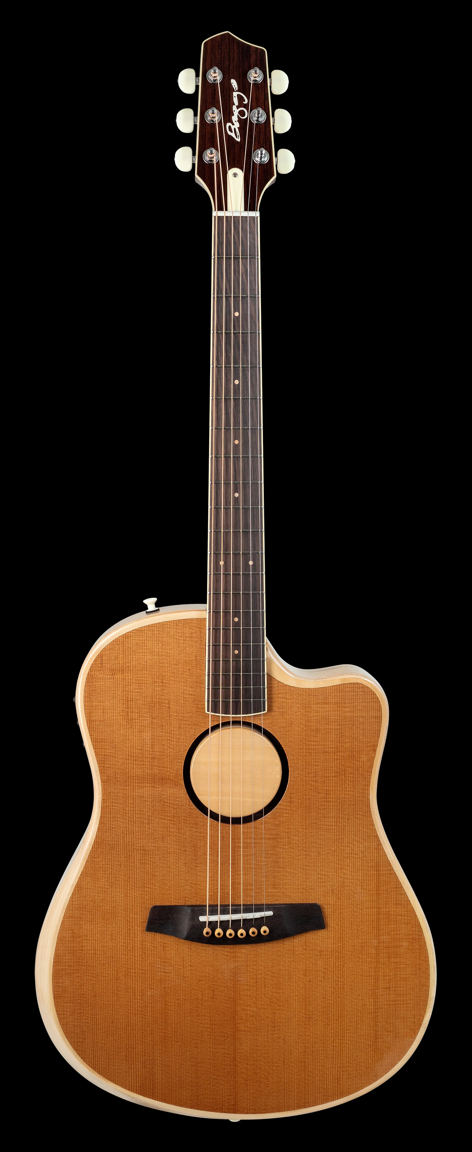 LR Baggs AEG-1 Torrefied Acoustic Electric Guitar With Softshell Case - Image 3