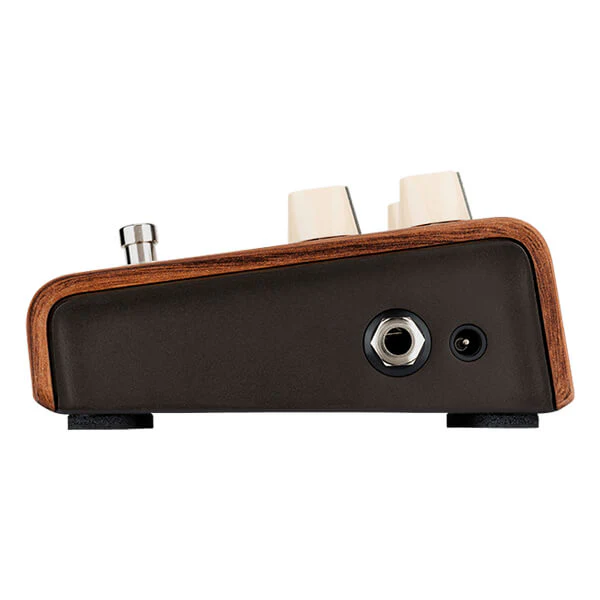 LR Baggs Align Series Reverb Guitar effect Pedal - Image 4