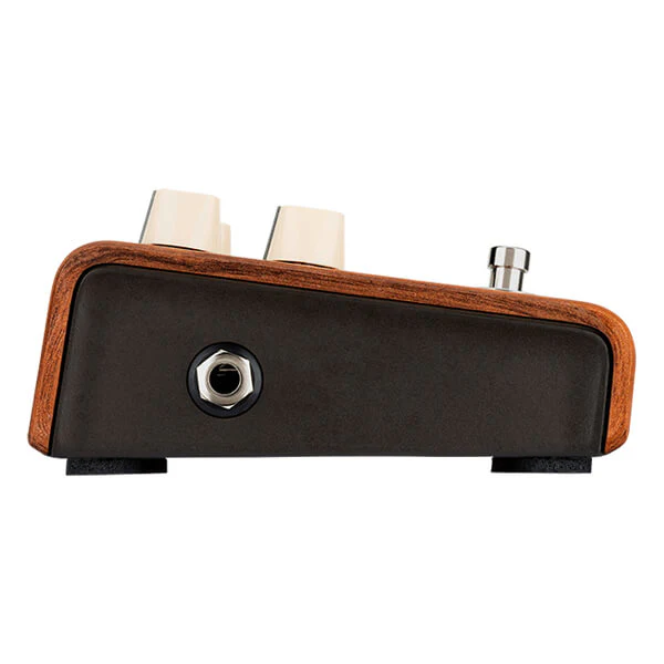 LR Baggs Align Series Reverb Guitar effect Pedal - Image 5
