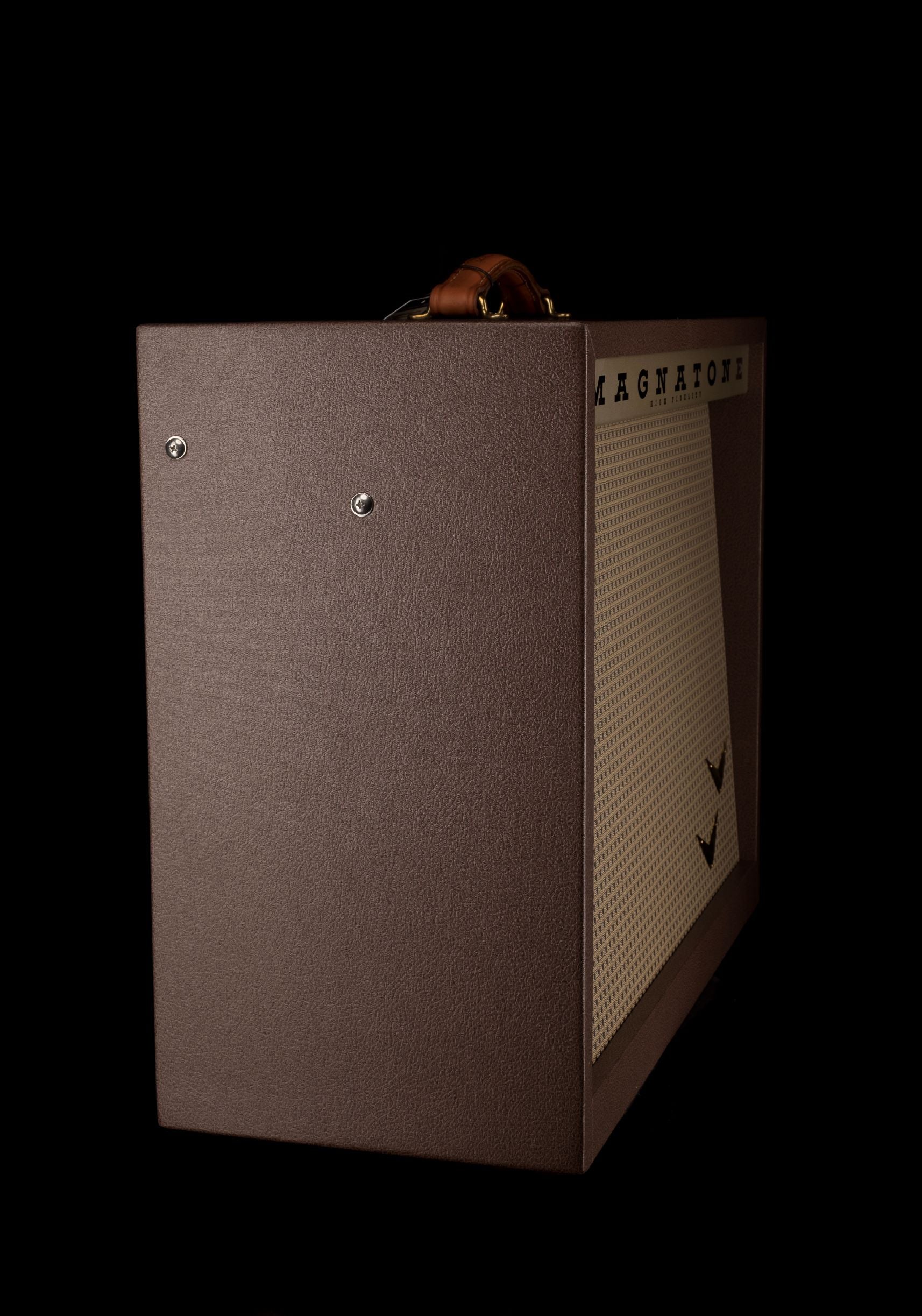 Magnatone Panoramic Stereo 2x10 Guitar Amp Combo - Image 7