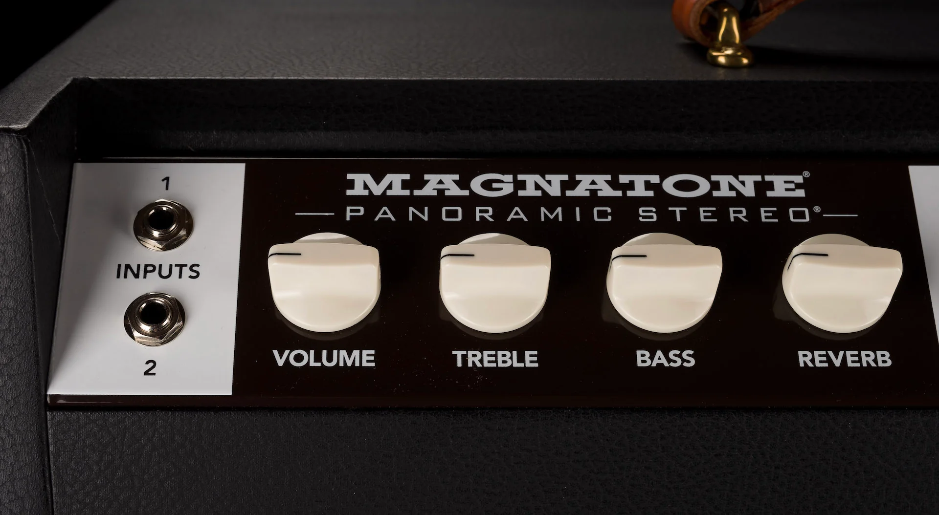 Magnatone Special Edition Panoramic Stereo Black Guitar Amp Combo - Image 10