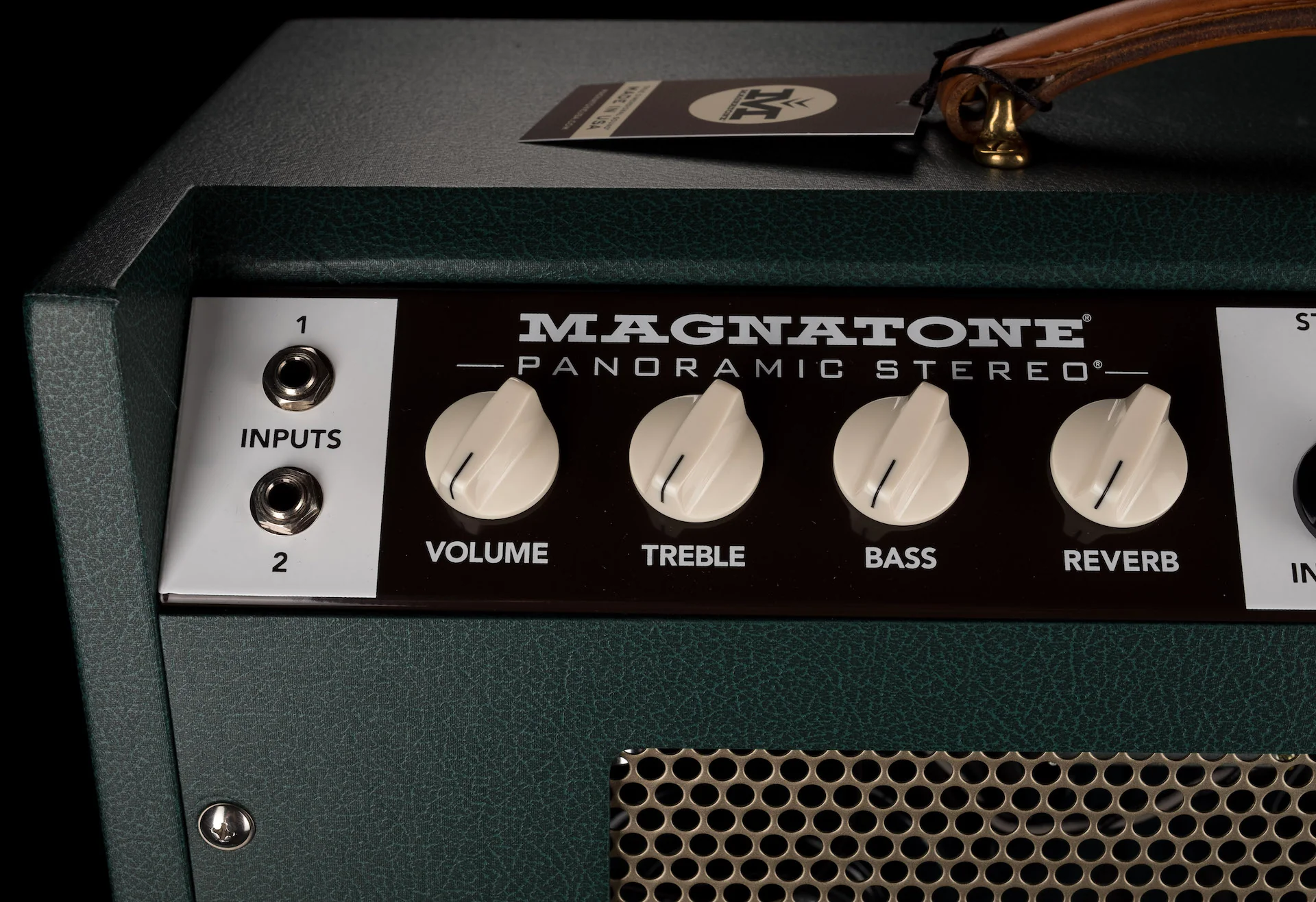 Magnatone Special Edition Panoramic Stereo Dark Green Guitar Amp Combo - Image 8