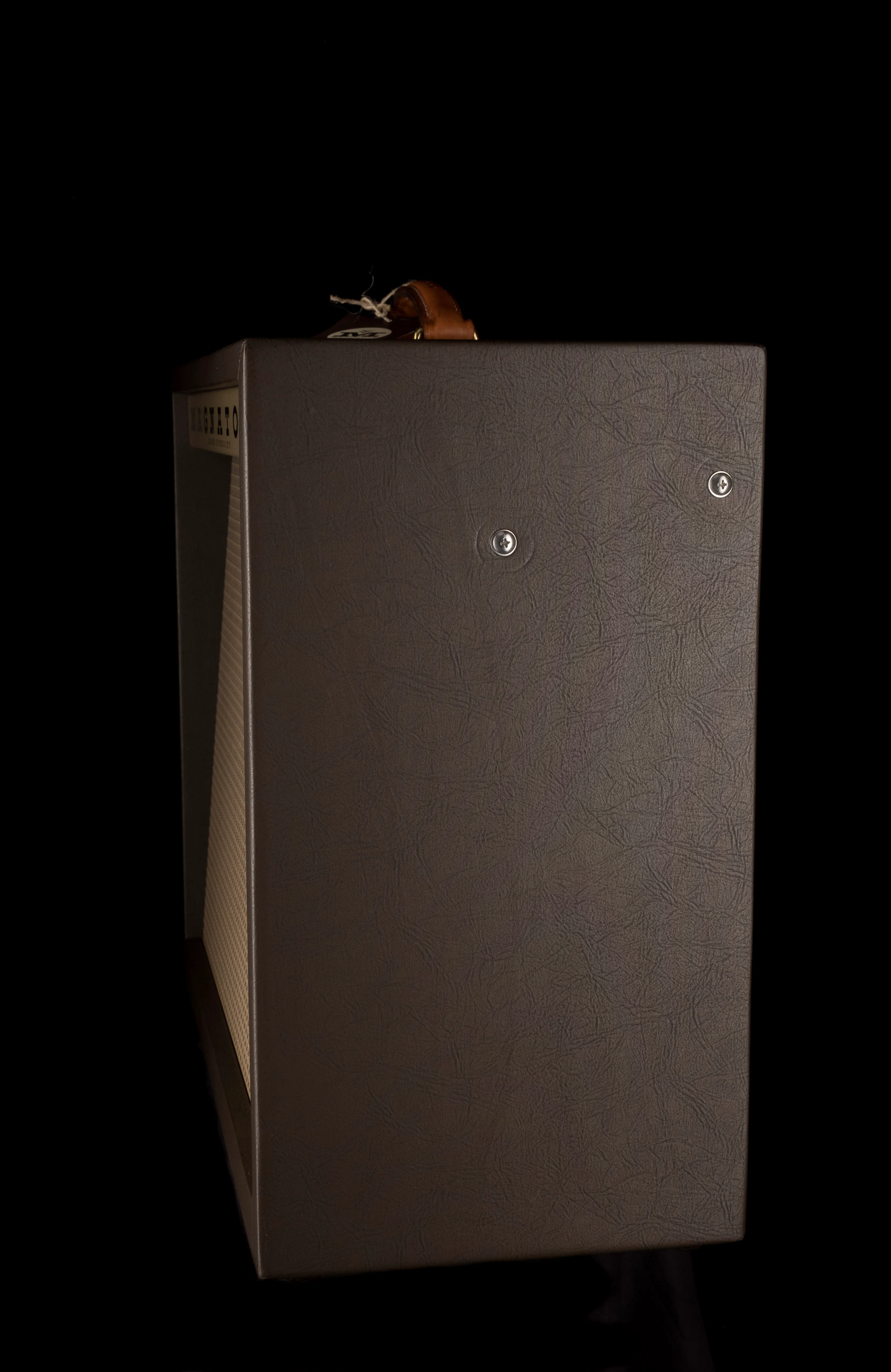 Magnatone Special Edition Panoramic Stereo Spanish Mission Guitar Amp Combo - Image 5