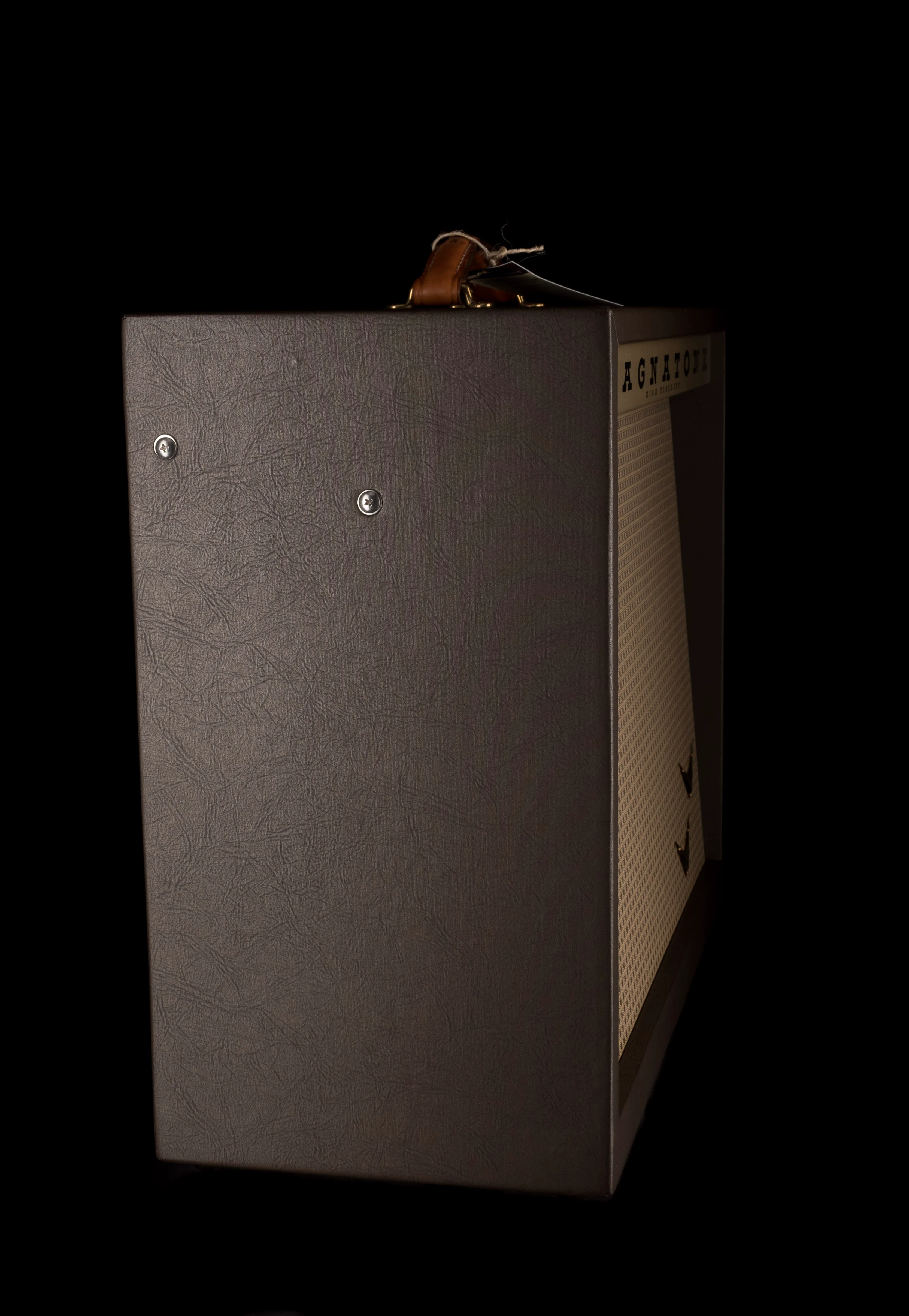 Magnatone Special Edition Panoramic Stereo Spanish Mission Guitar Amp Combo - Image 6