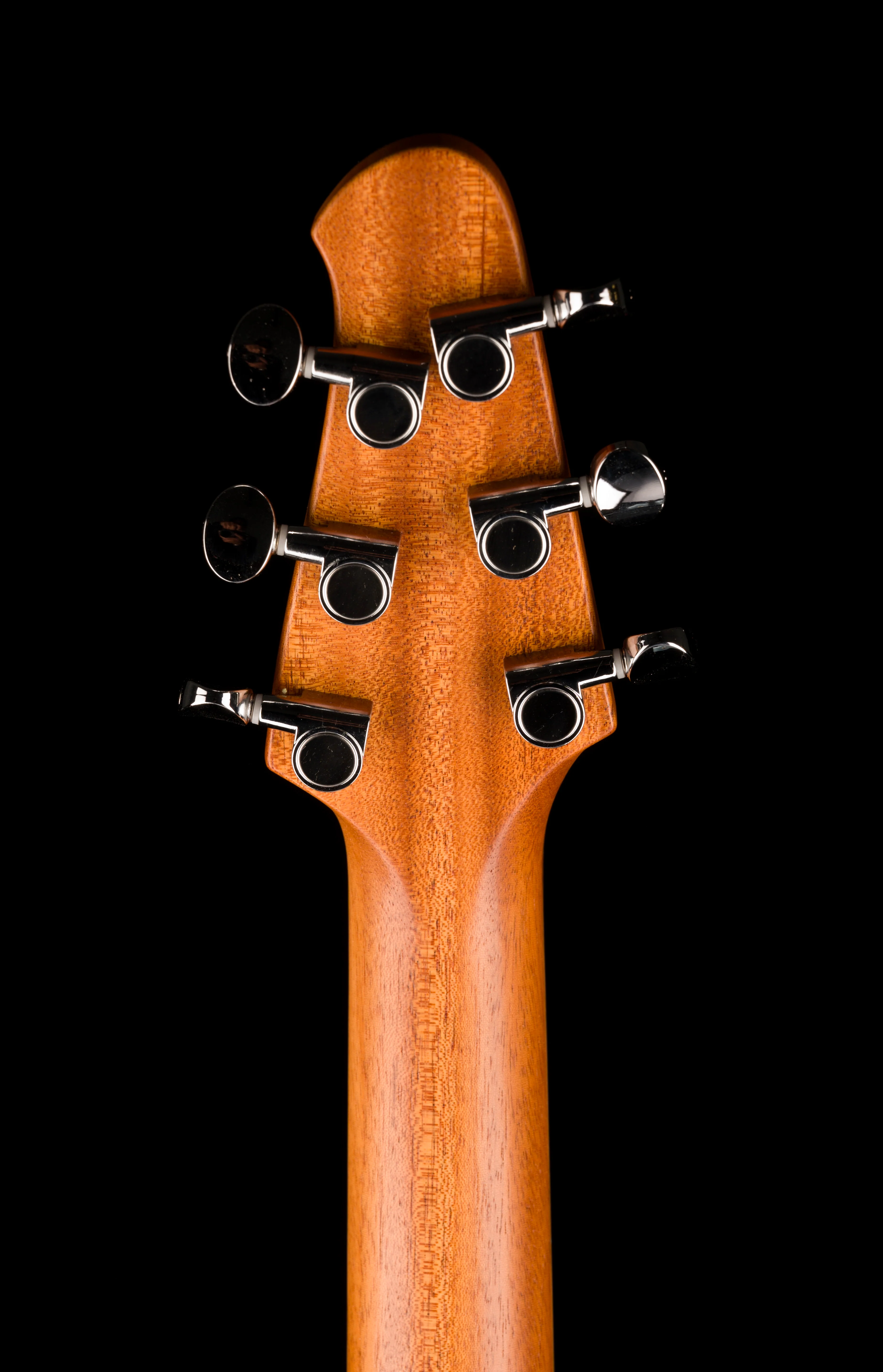 Powers Electric A-Type Meissen Blue With Softshell Case - Image 17