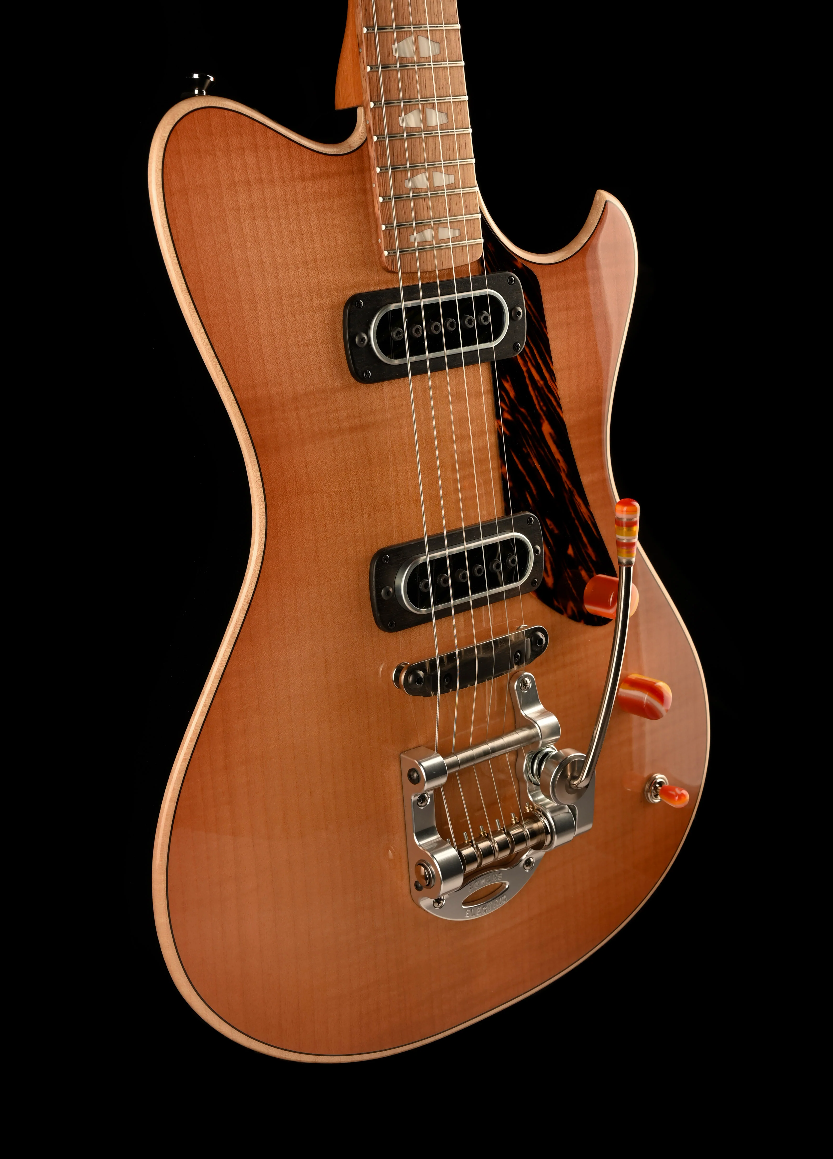 Powers Electric A-Type Select Plain Top Pale Ale with Softshell Case - Image 10