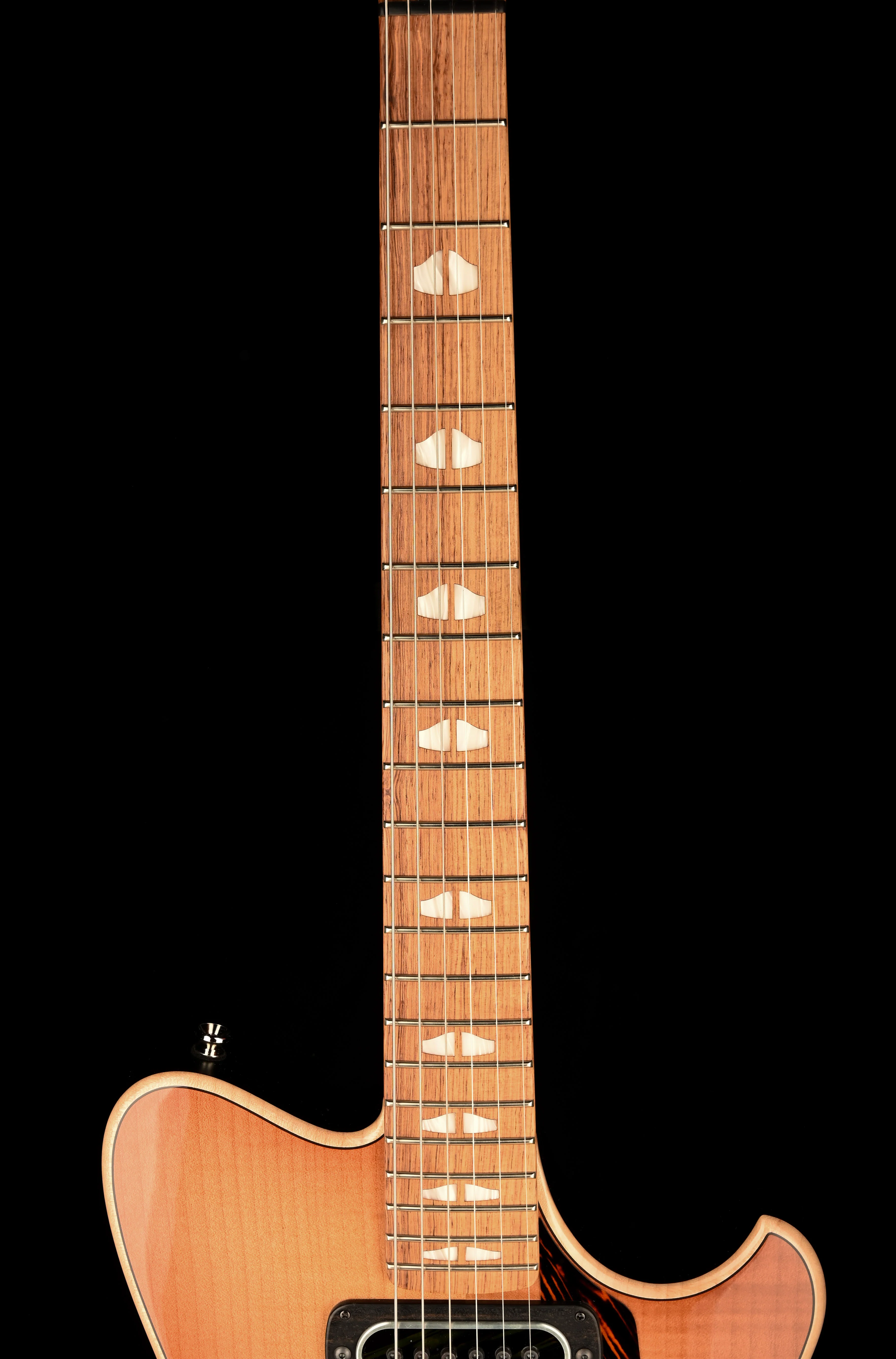 Powers Electric A-Type Select Plain Top Pale Ale with Softshell Case - Image 11