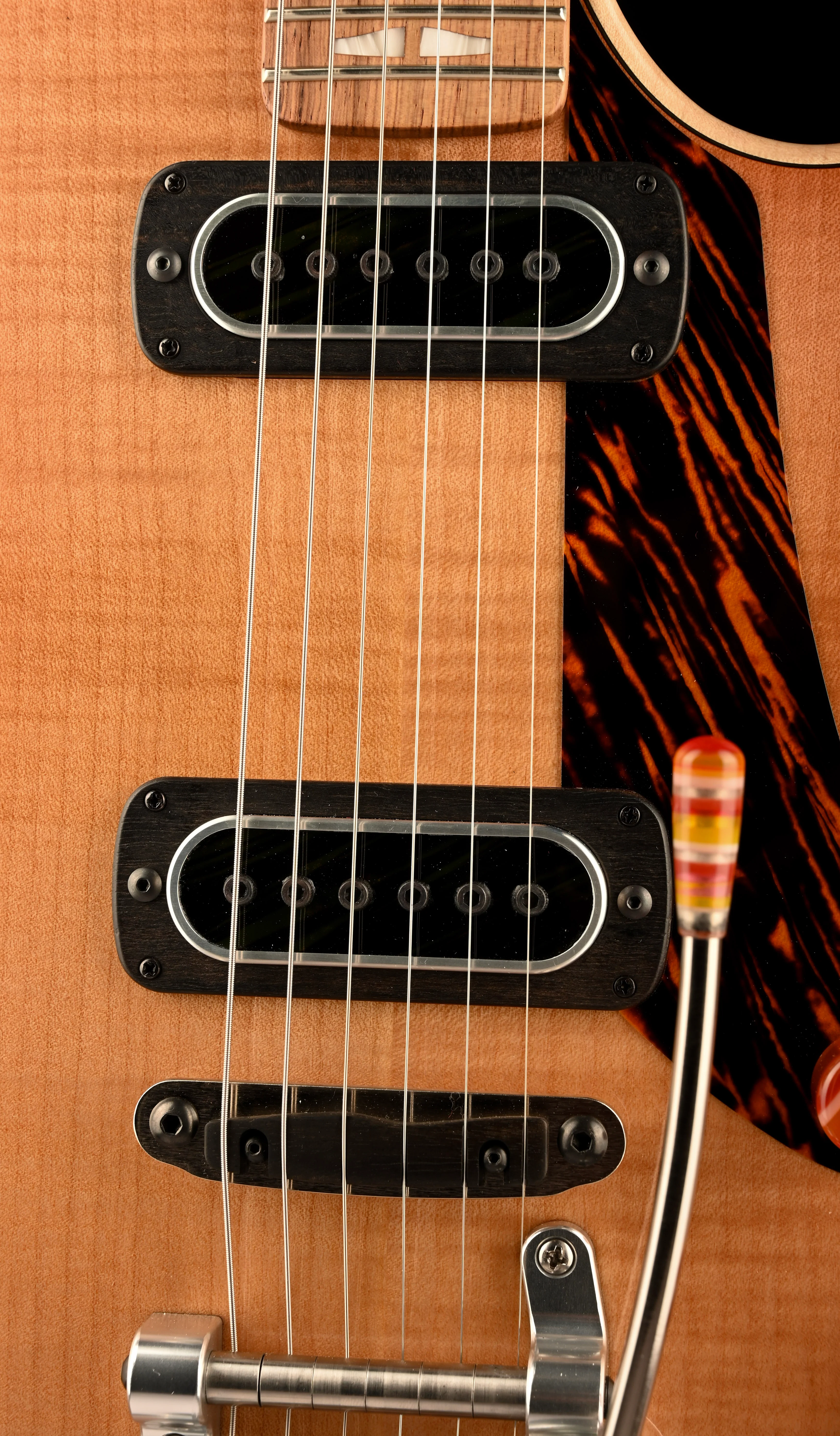 Powers Electric A-Type Select Plain Top Pale Ale with Softshell Case - Image 7