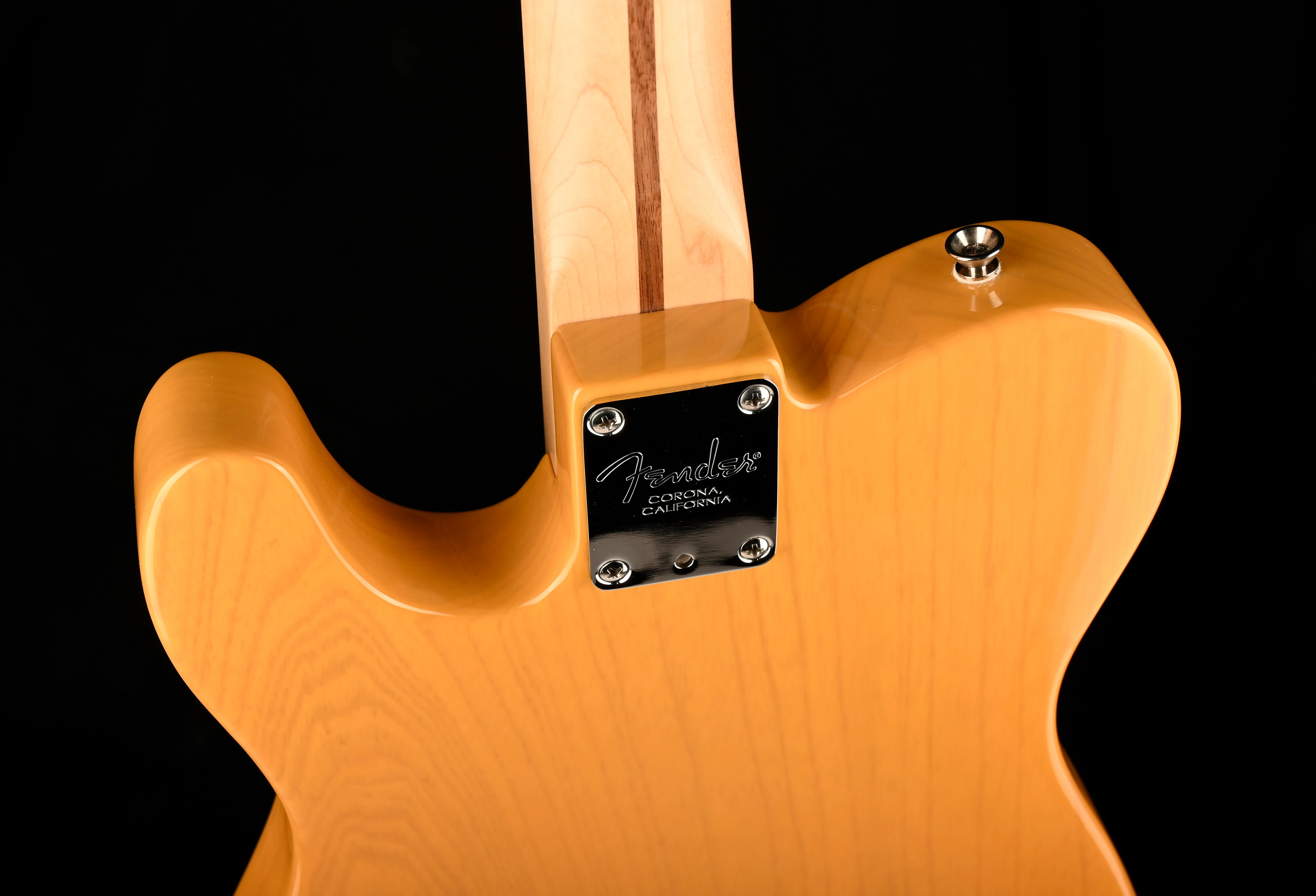 Pre Owned 2019 Fender American Professional Telecaster Butterscotch With OHSC - Image 14