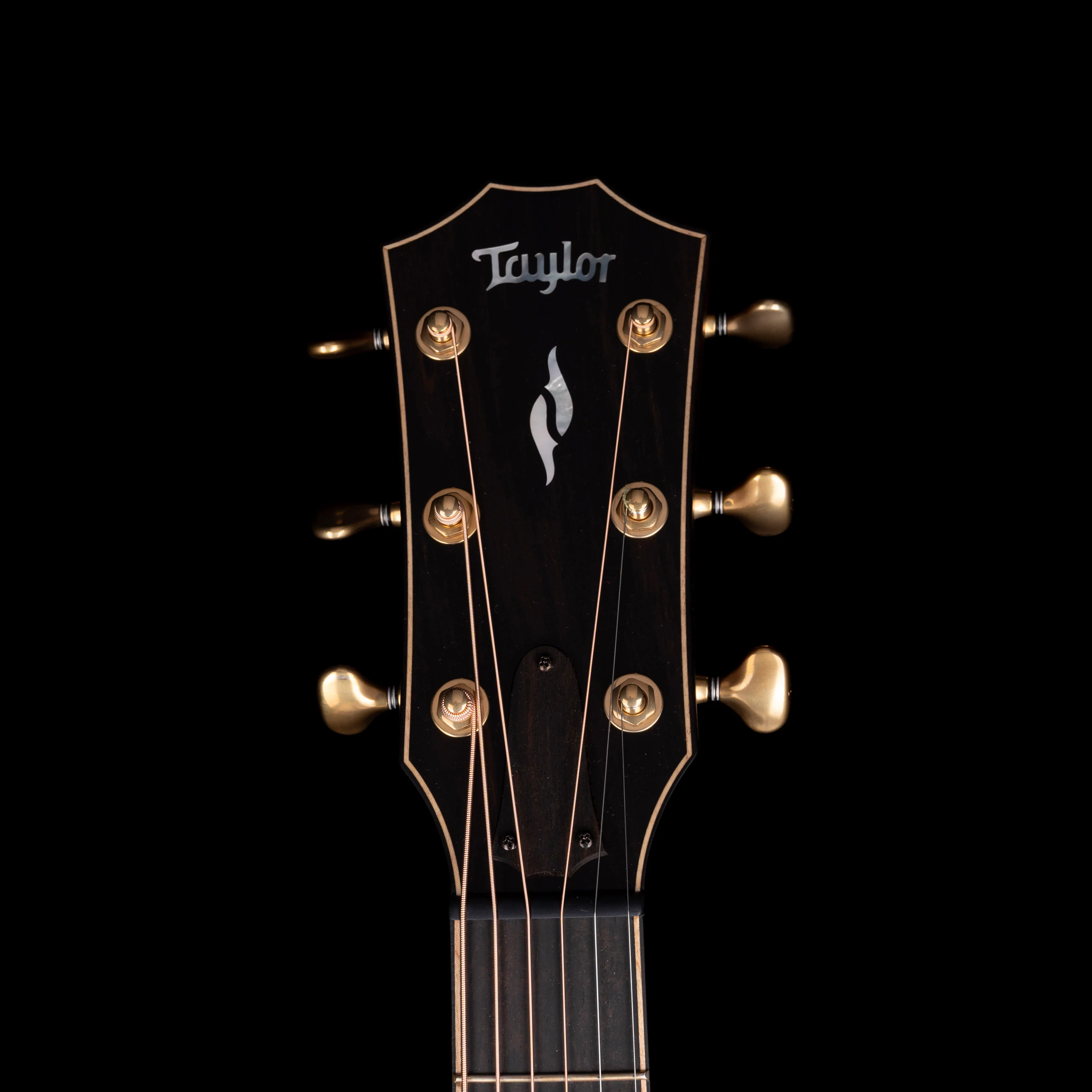 Pre Owned 2023 Taylor Builder's Edition 814ce Blacktop with OHSC - Image 14