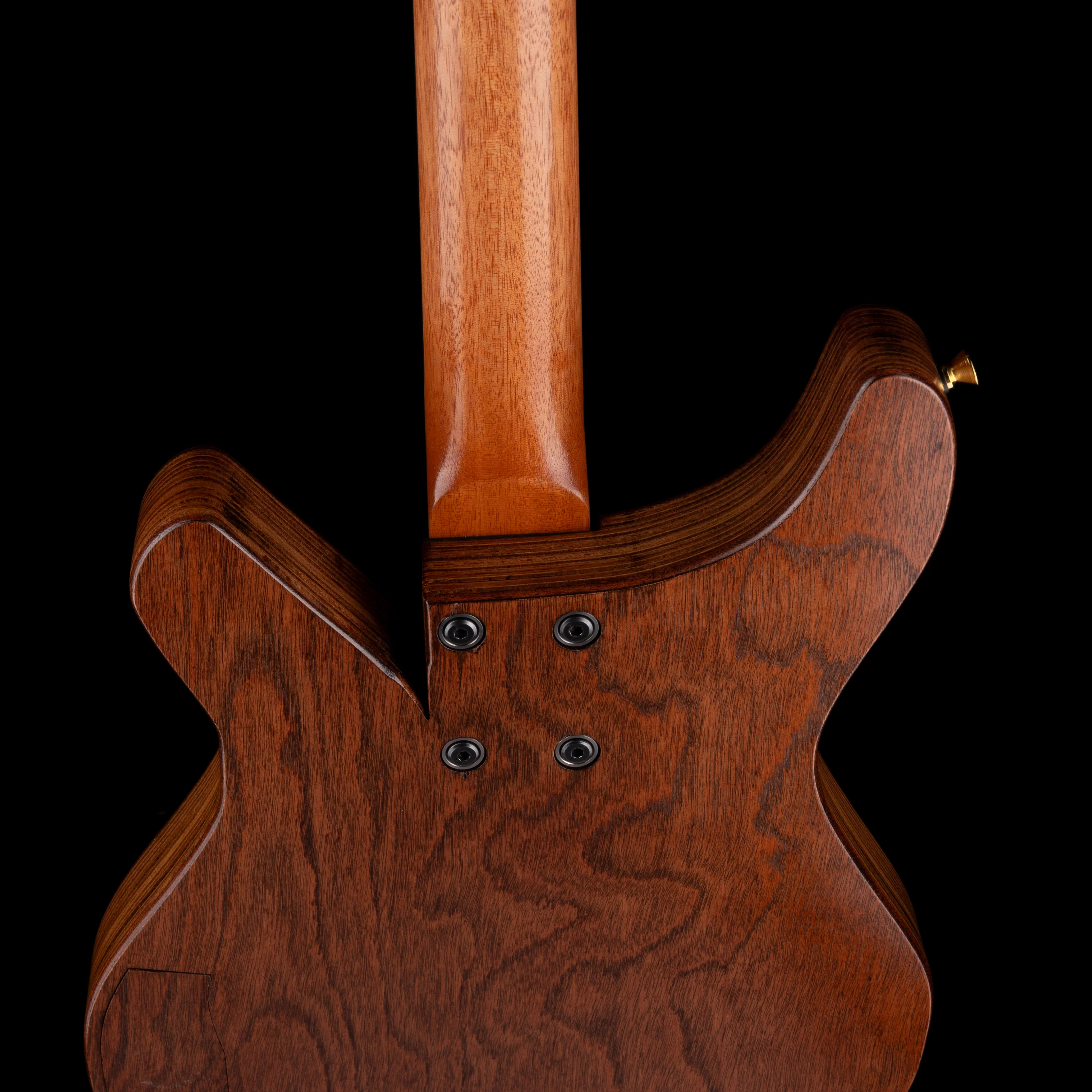 Terra Guitar Earth, Wind & Fire - Tiger Stripe - Image 11