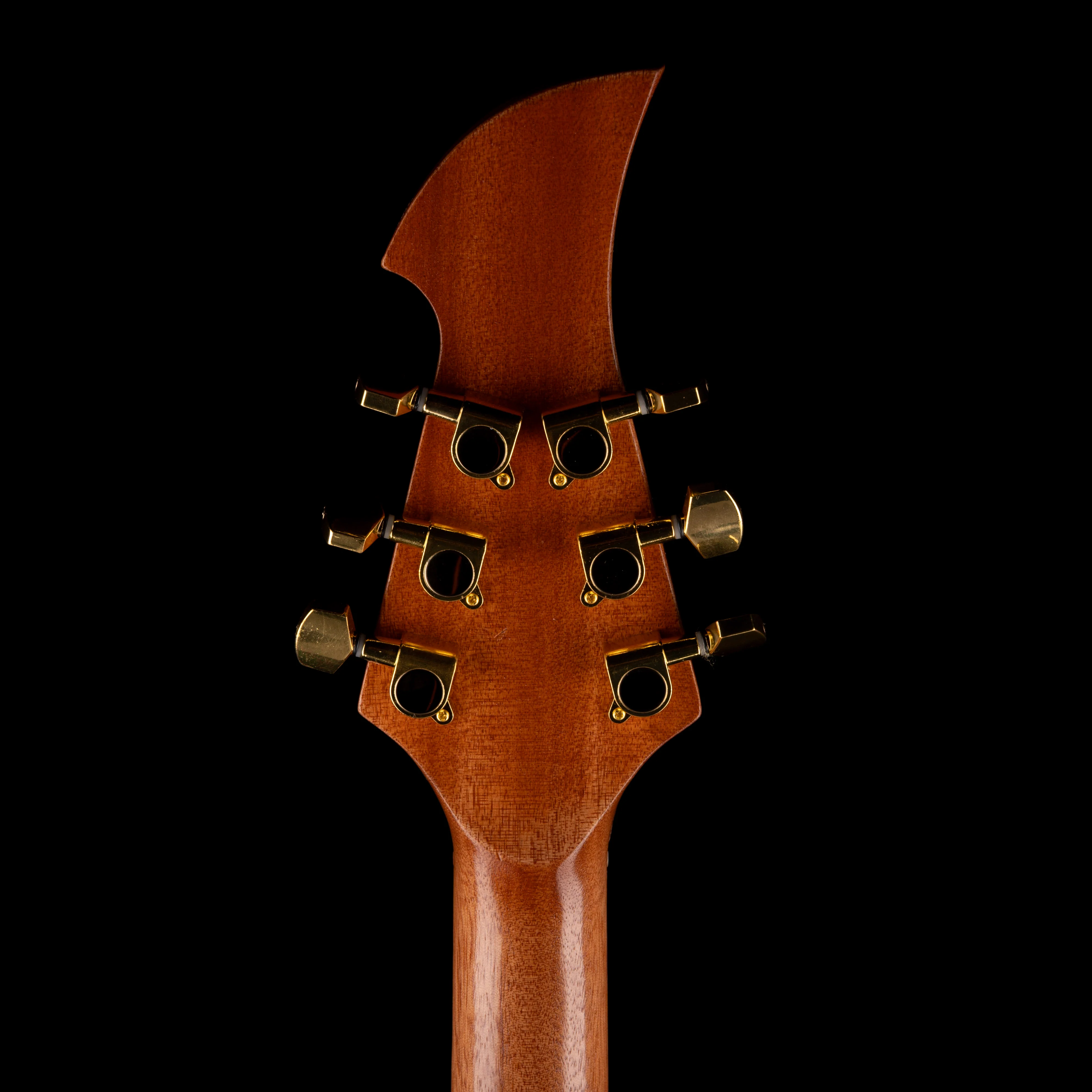 Terra Guitar Earth, Wind & Fire - Tiger Stripe - Image 14