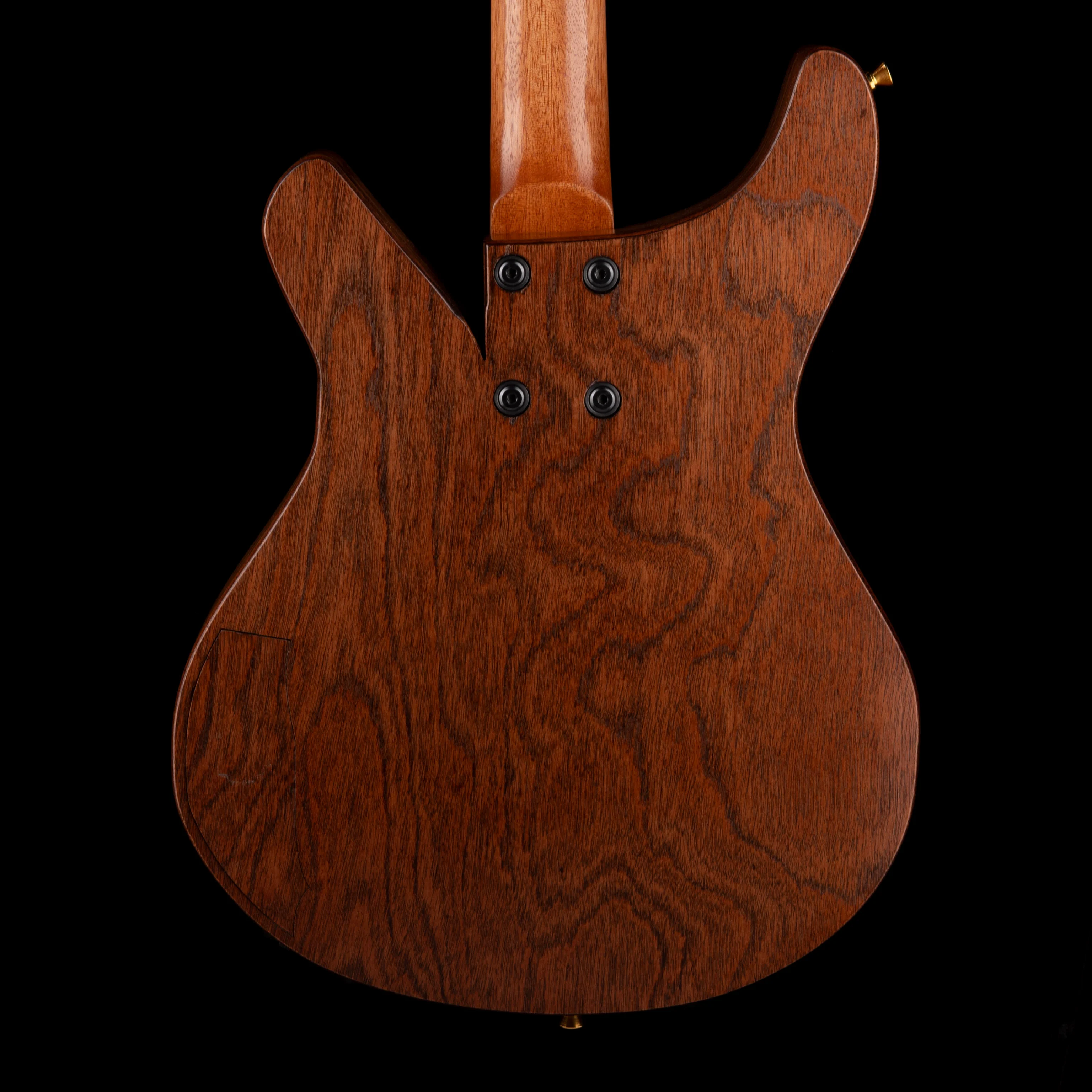 Terra Guitar Earth, Wind & Fire - Tiger Stripe - Image 9