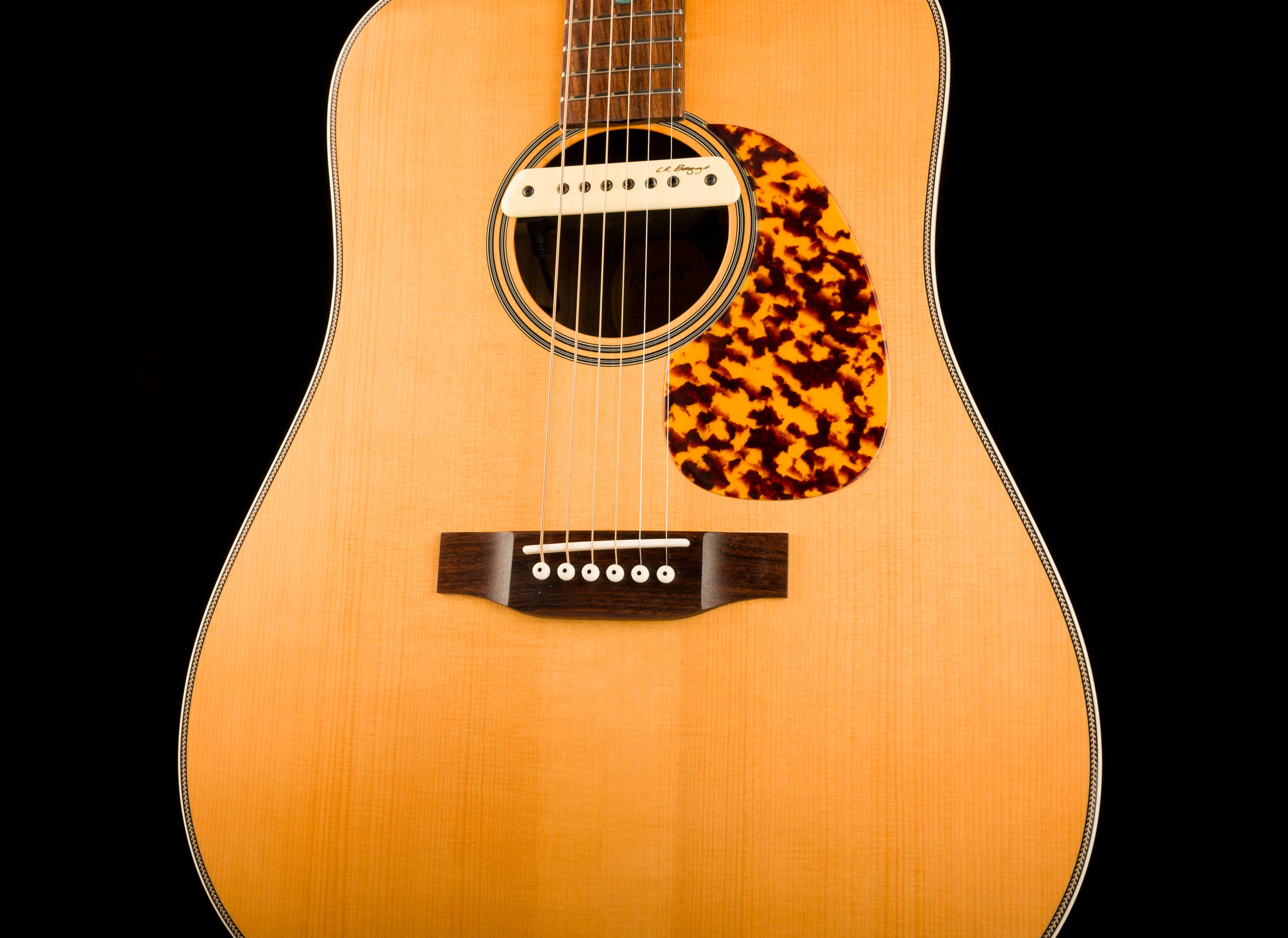 Pre Owned Blueridge BR-160A Acoustic Guitar With Pickup And HSC - Image 6