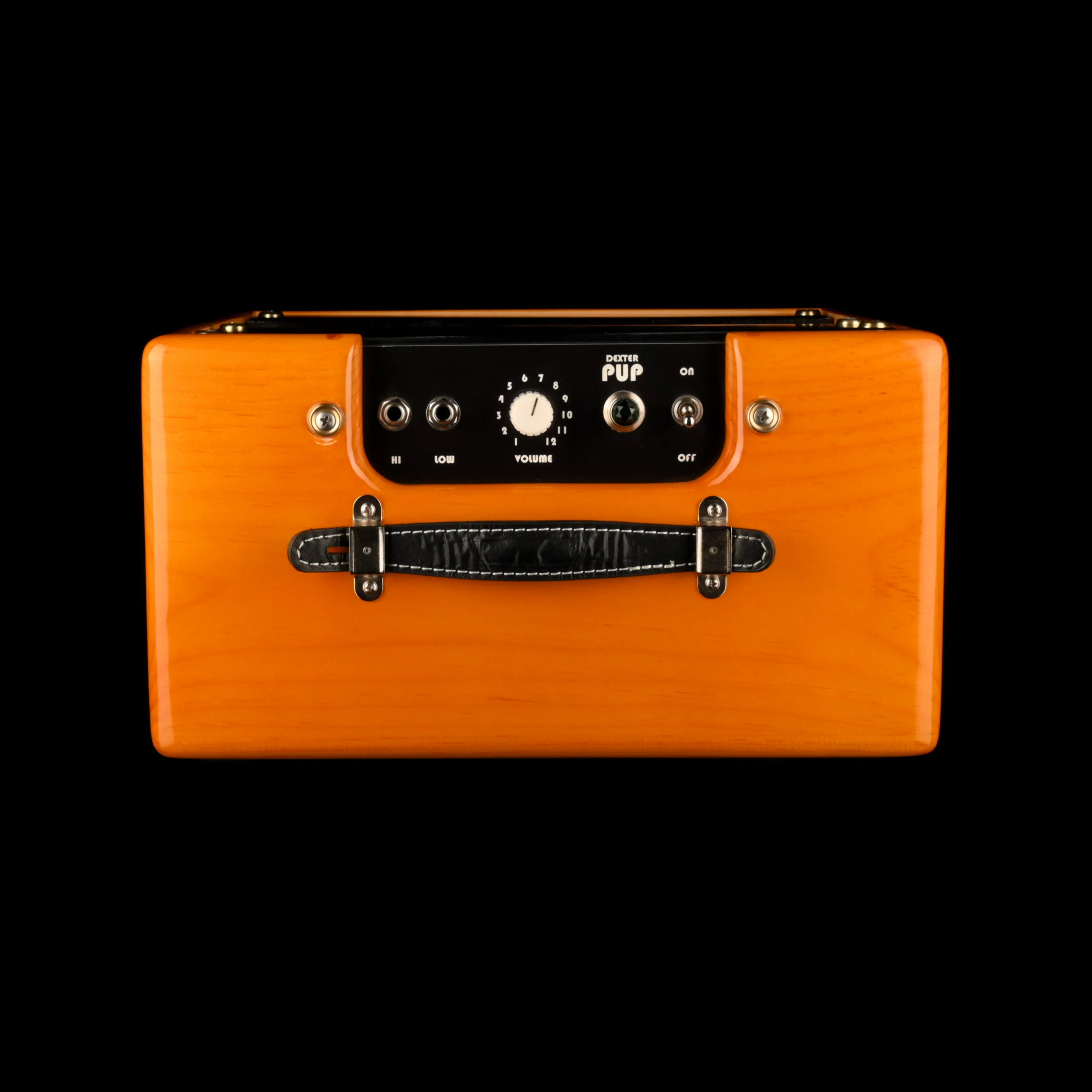 Dexter Pup 5-Watt Guitar Amp Combo With Tuki Cover - Image 5
