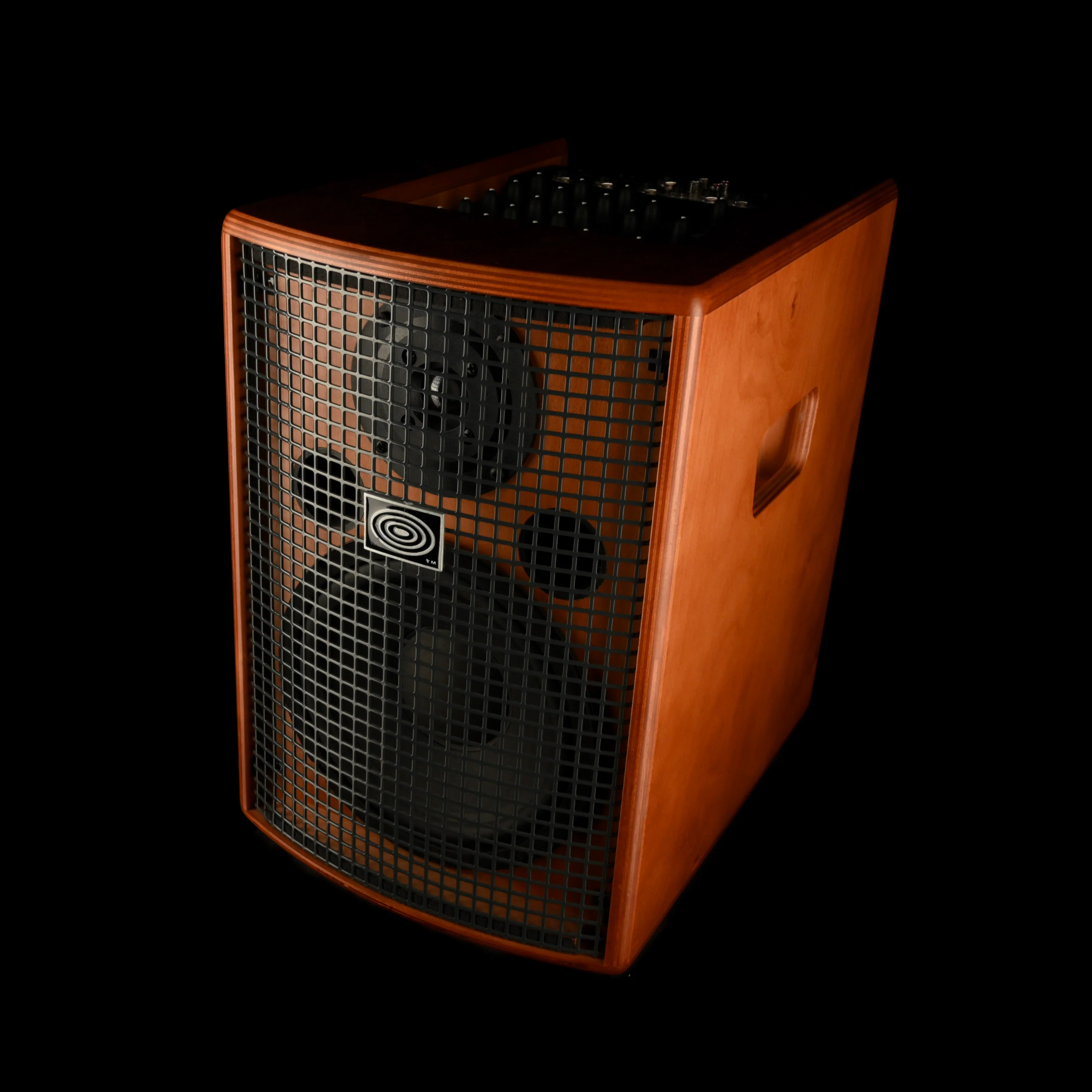 Pre Owned Schertler Jam 150 Acoustic Amplifier and Portable PA System with Carrying Case - Image 2