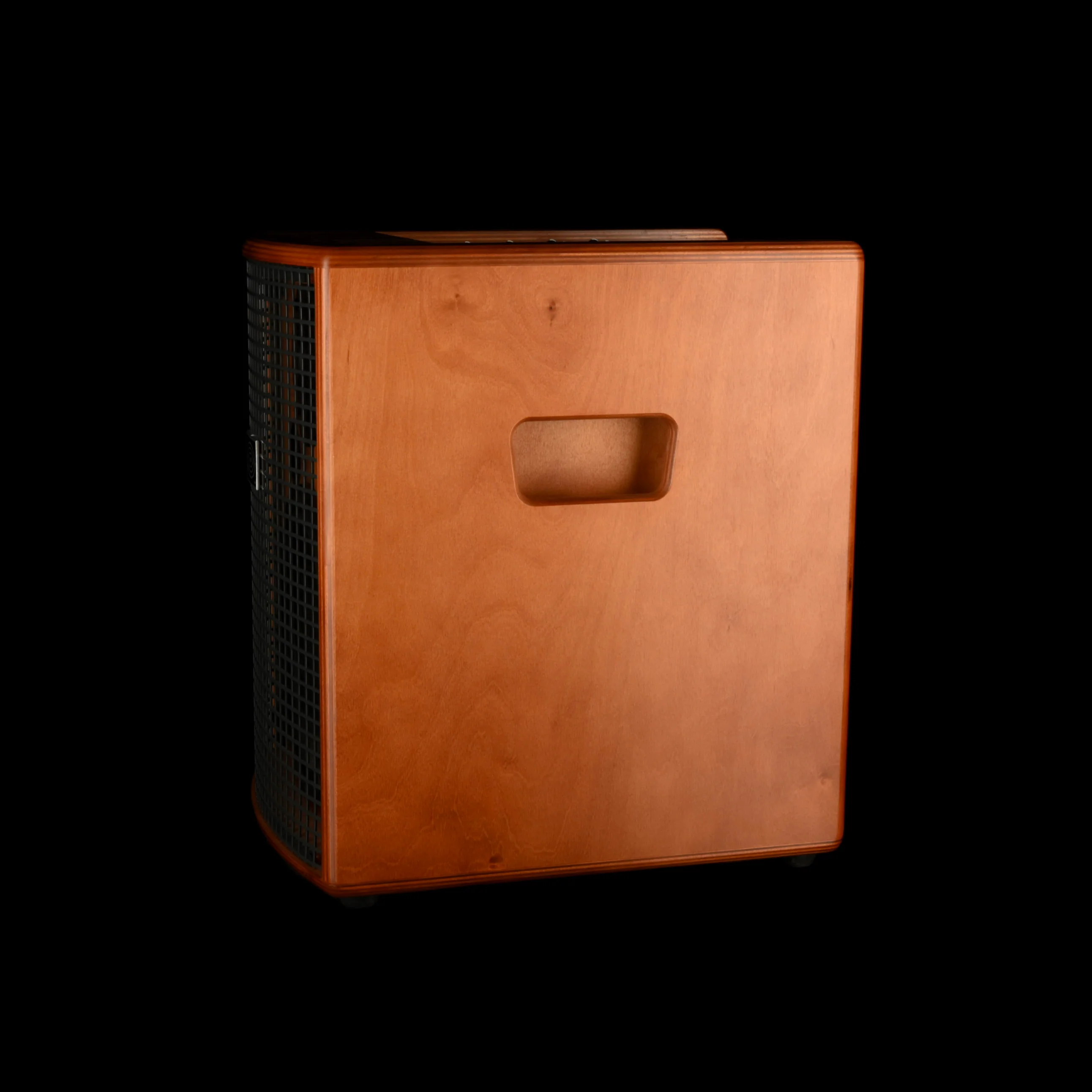 Pre Owned Schertler Jam 150 Acoustic Amplifier and Portable PA System with Carrying Case - Image 5