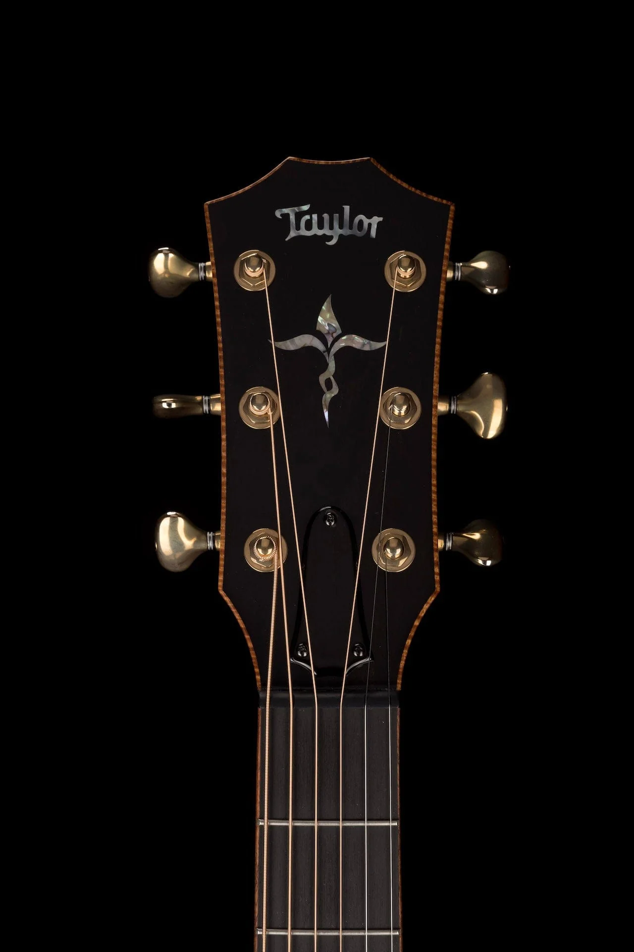 Pre Owned Taylor Custom GA Grand Auditorium Koi Blue with Case - Image 13