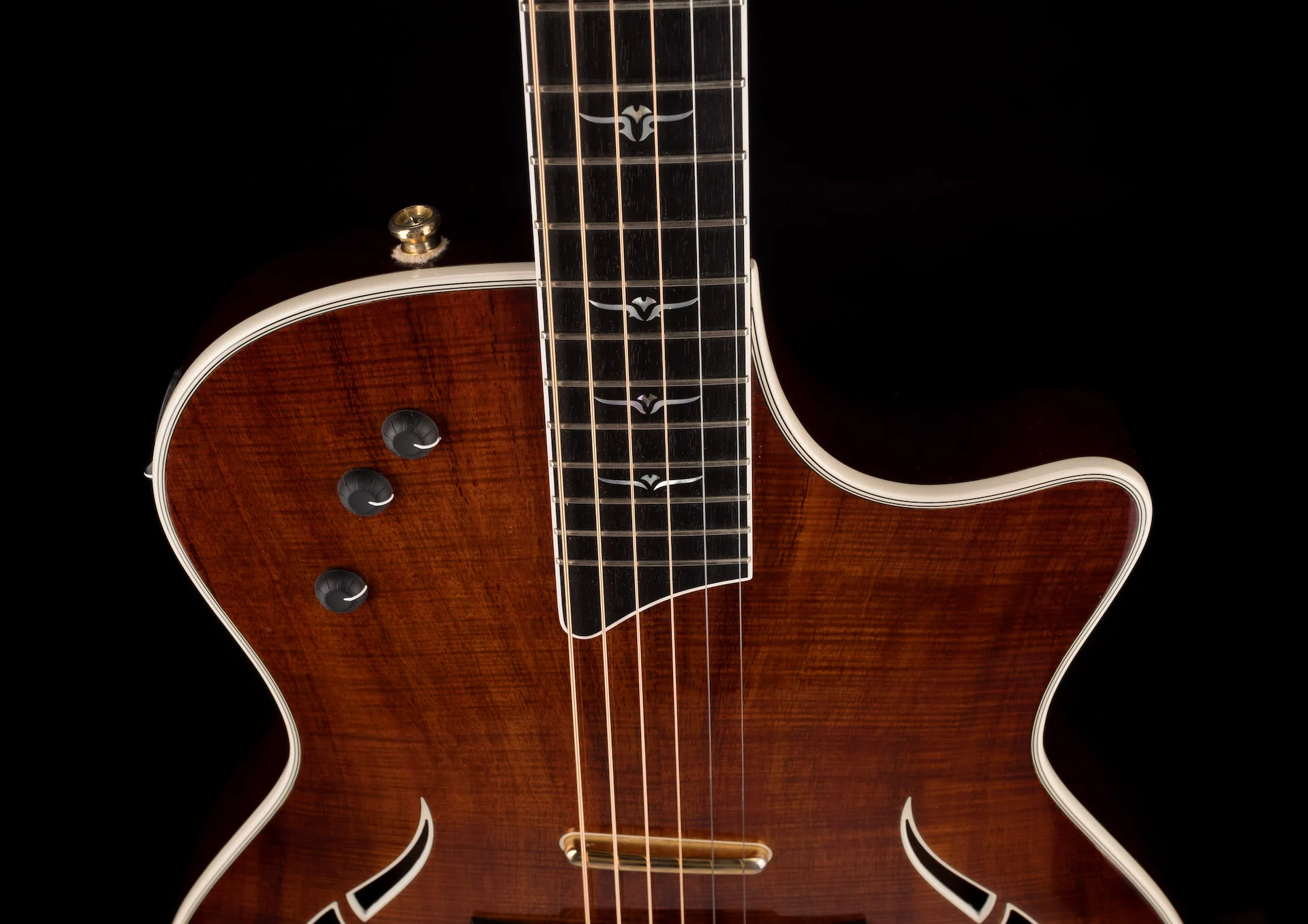 Pre Owned Taylor T5 C-2 Custom Koa With OHSC - Image 3