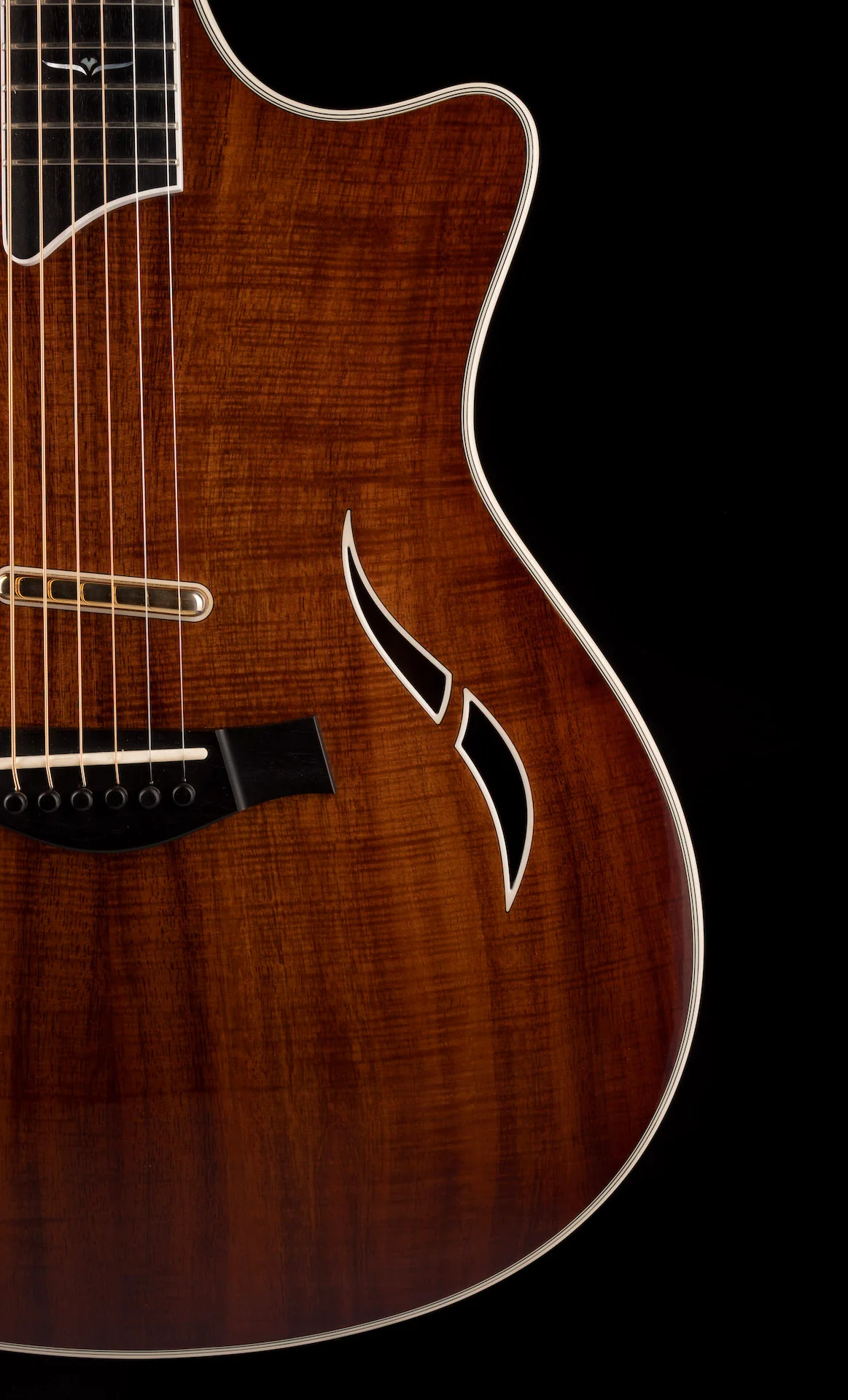 Pre Owned Taylor T5 C-2 Custom Koa With OHSC - Image 7
