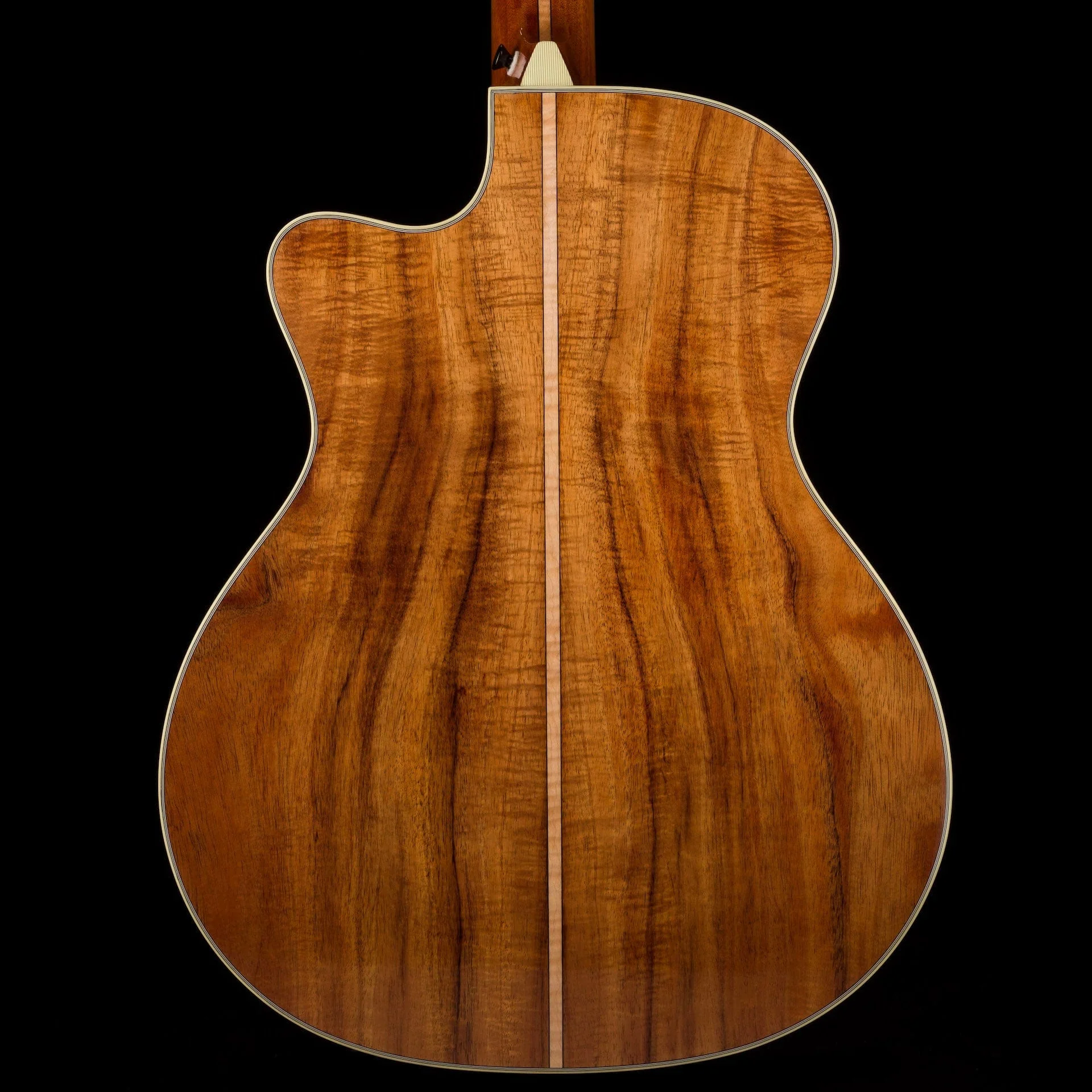 Pre-Owned Thomas Trapper Deluxe Auditorium Acoustic Electric Black w Hiscox Case - Image 13