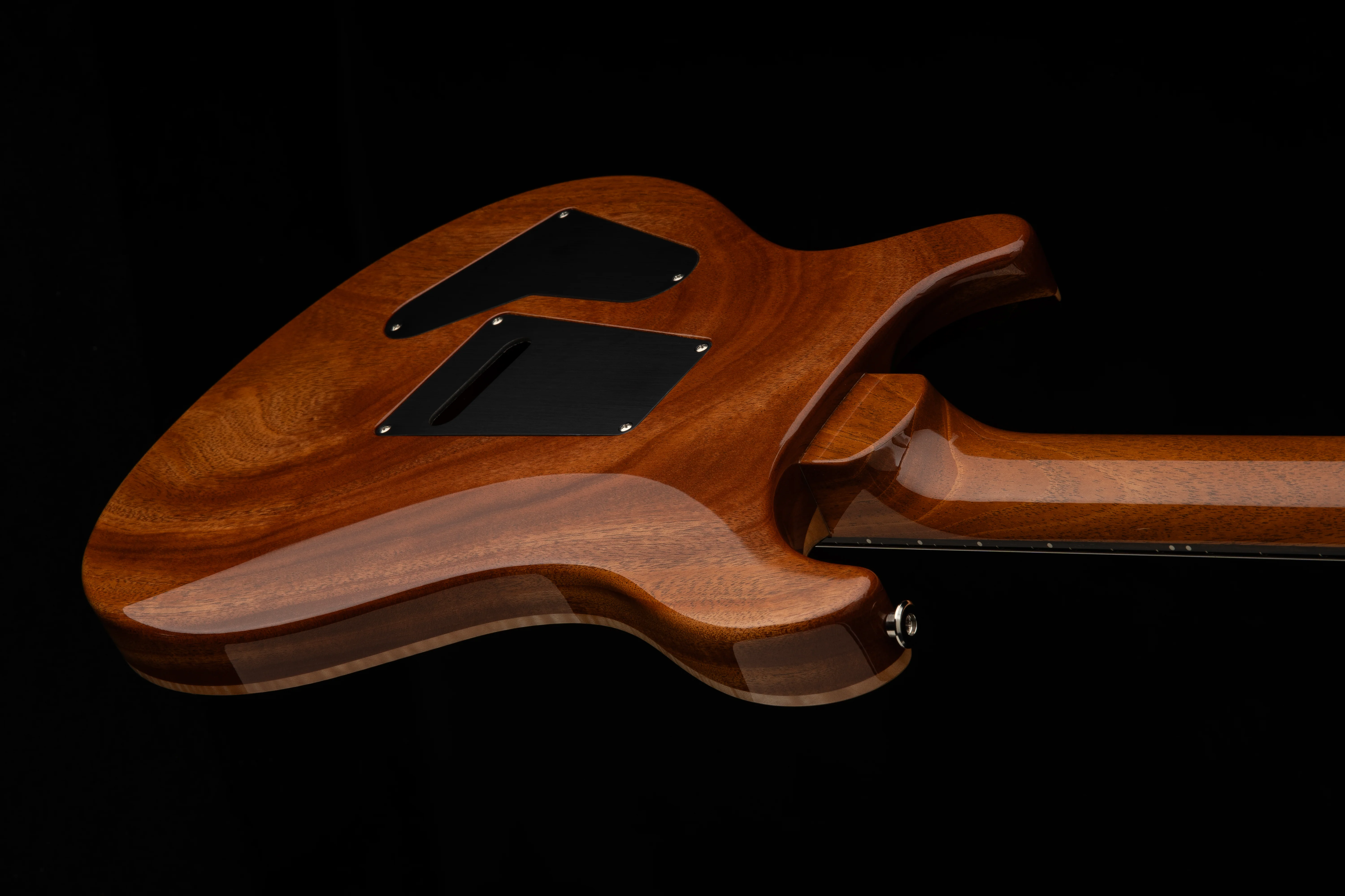 PRS 40th Anniversary Limited Edition Custom 24 Tiger Eye With Case - Image 9