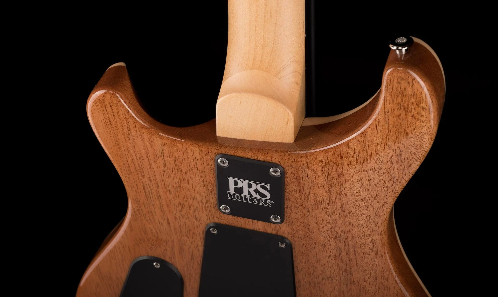PRS CE24 Custom Color Trampas Green - Image 12