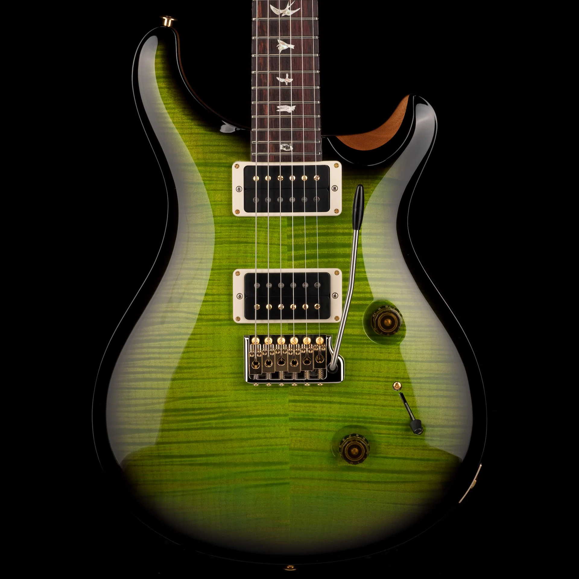 PRS Core 10 Top Custom 24 Pattern Regular Custom Color Eriza Verde Smokewrap Burst W/Case 2022 Serial # 0341462