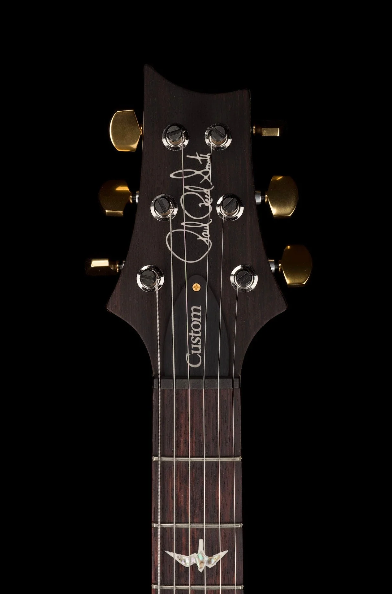PRS Core 10 Top Custom 24 Pattern Regular Custom Color Eriza Verde Smokewrap Burst W/Case 2022 Serial # 0341462 - Image 13