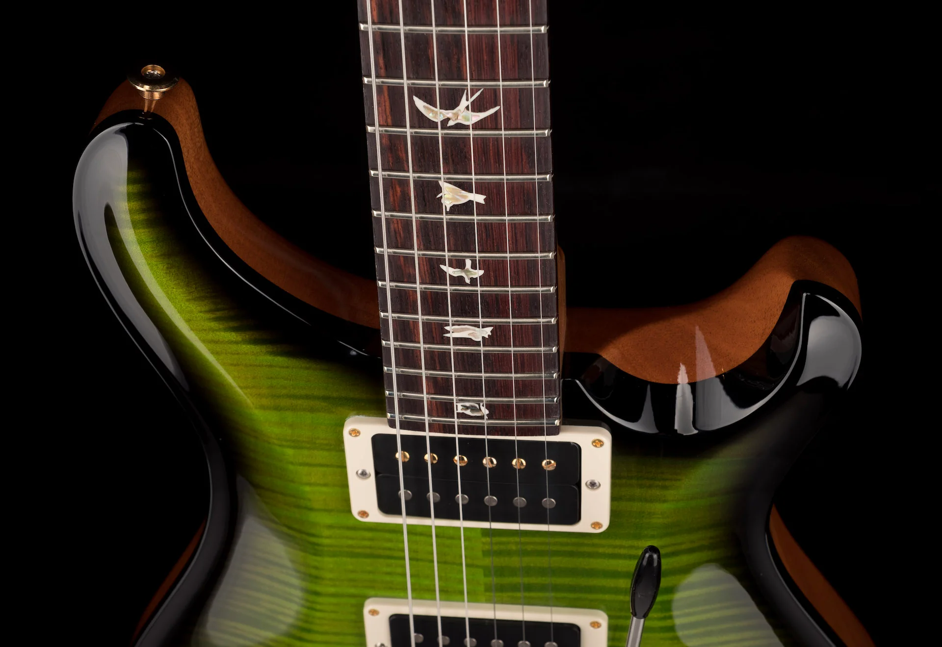 PRS Core 10 Top Custom 24 Pattern Regular Custom Color Eriza Verde Smokewrap Burst W/Case 2022 Serial # 0341462 - Image 3