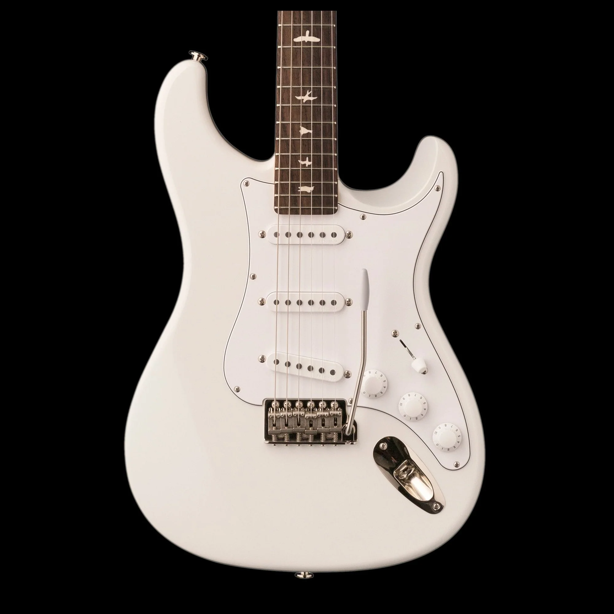PRS Silver Sky Rosewood Frost Electric Guitar With Gig Bag - Demo
