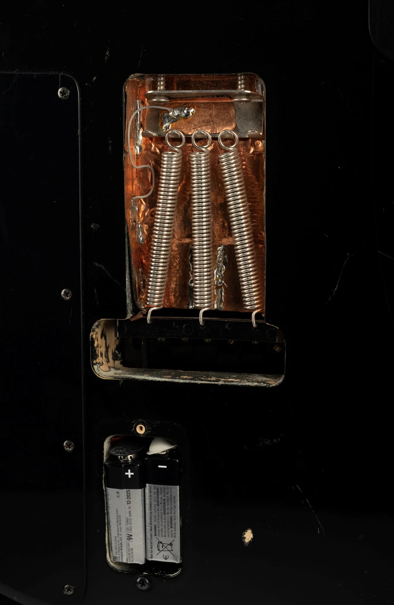 Ripley Stereo Fretless Owned by Ry Cooder - Image 13