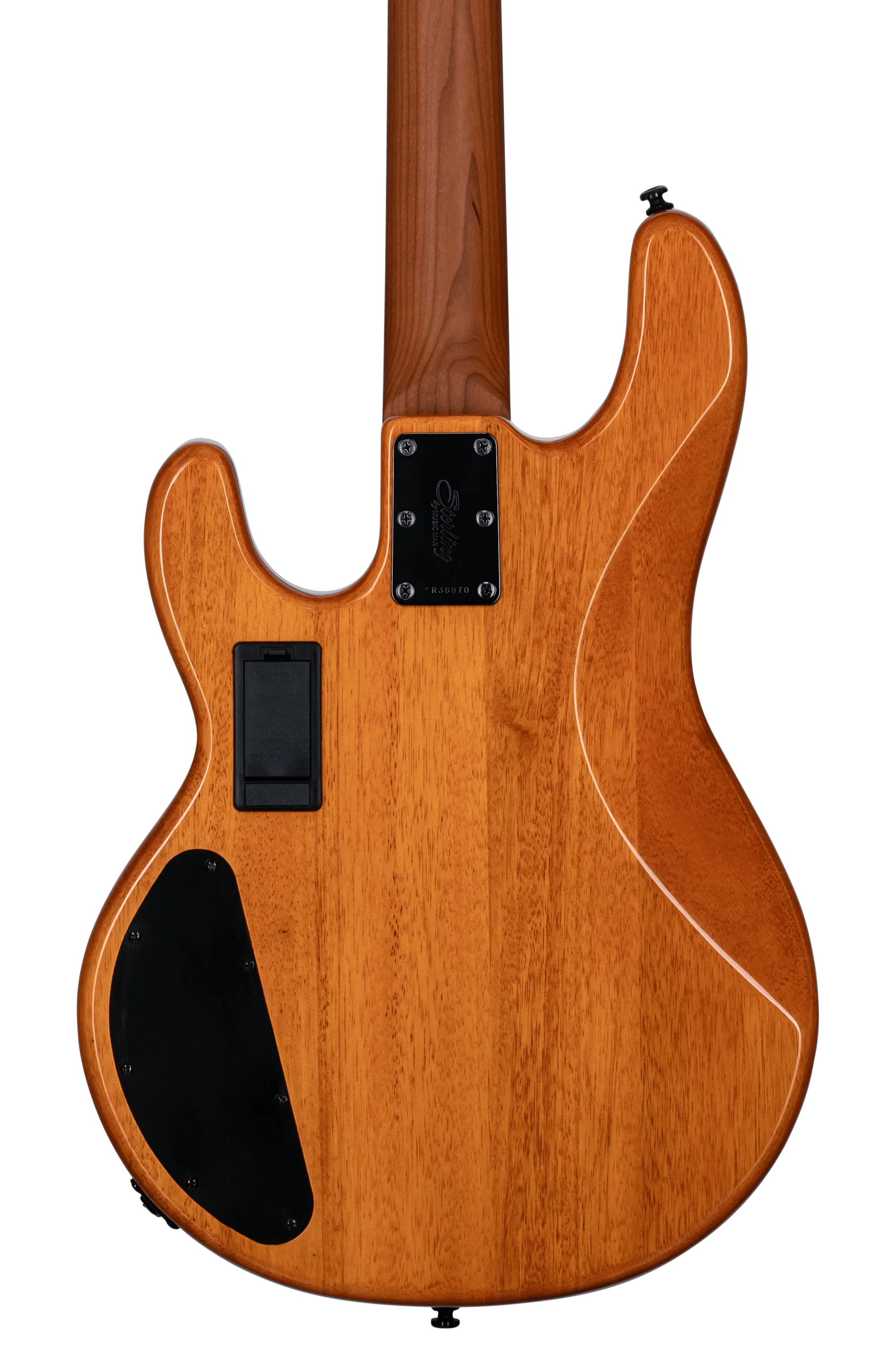 Sterling by Music Man StingRay HH RAY34HH Poplar Burl Amber Bass With Gig Bag - Image 4