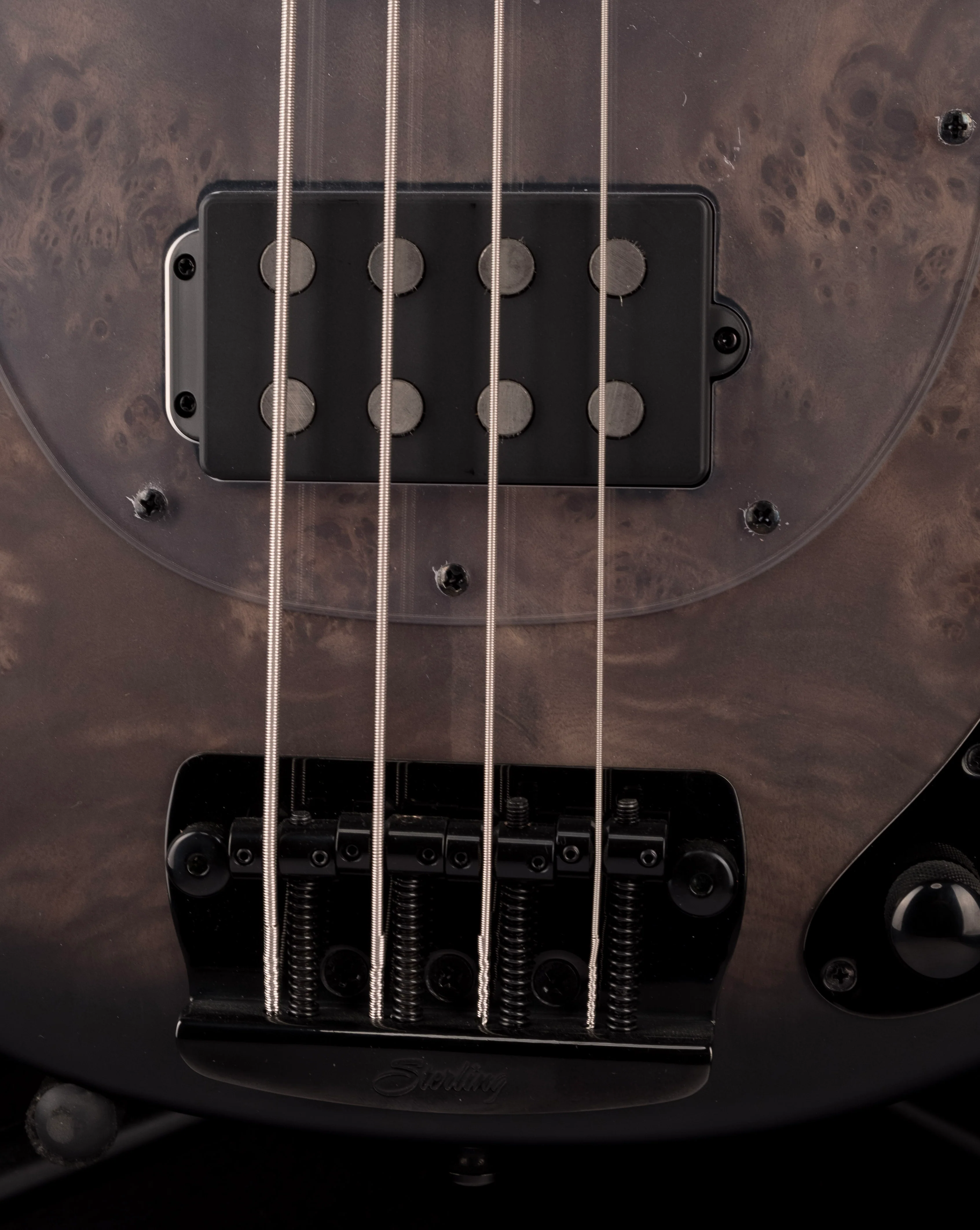 Sterling by Music Man StingRay Ray34 Poplar Burl Top Trans Black Satin With Bag - Image 7