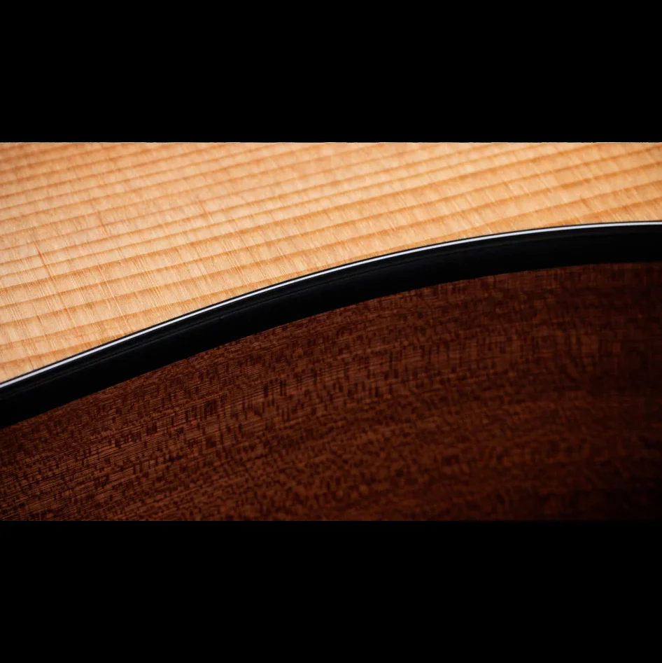 Taylor 150ce Bajo Quinto 10-String Acoustic Electric Guitar with Gig Bag - Image 10