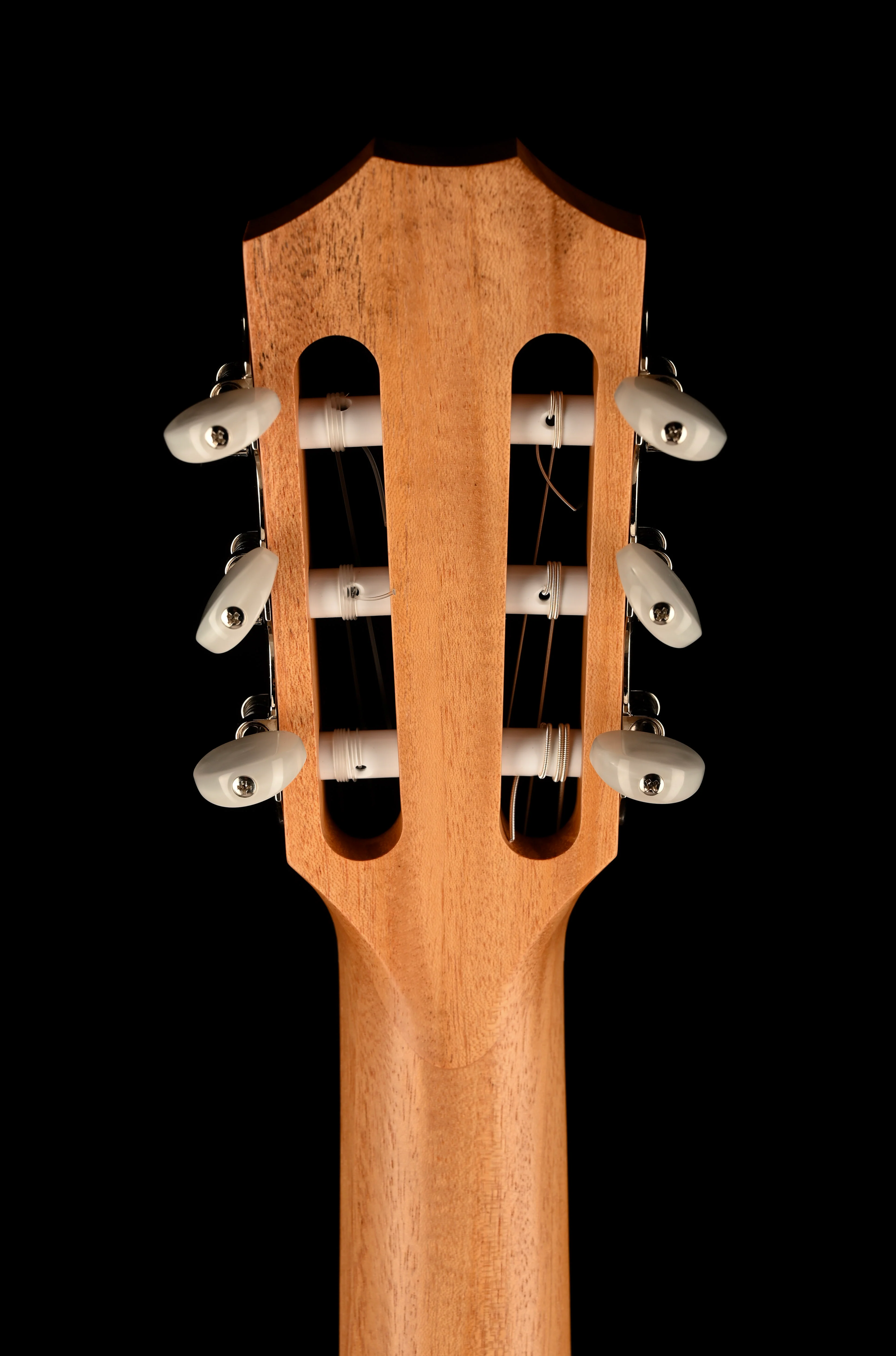 Taylor 212ce-N Nylon Plus Acoustic Electric Guitar With Case - Image 18
