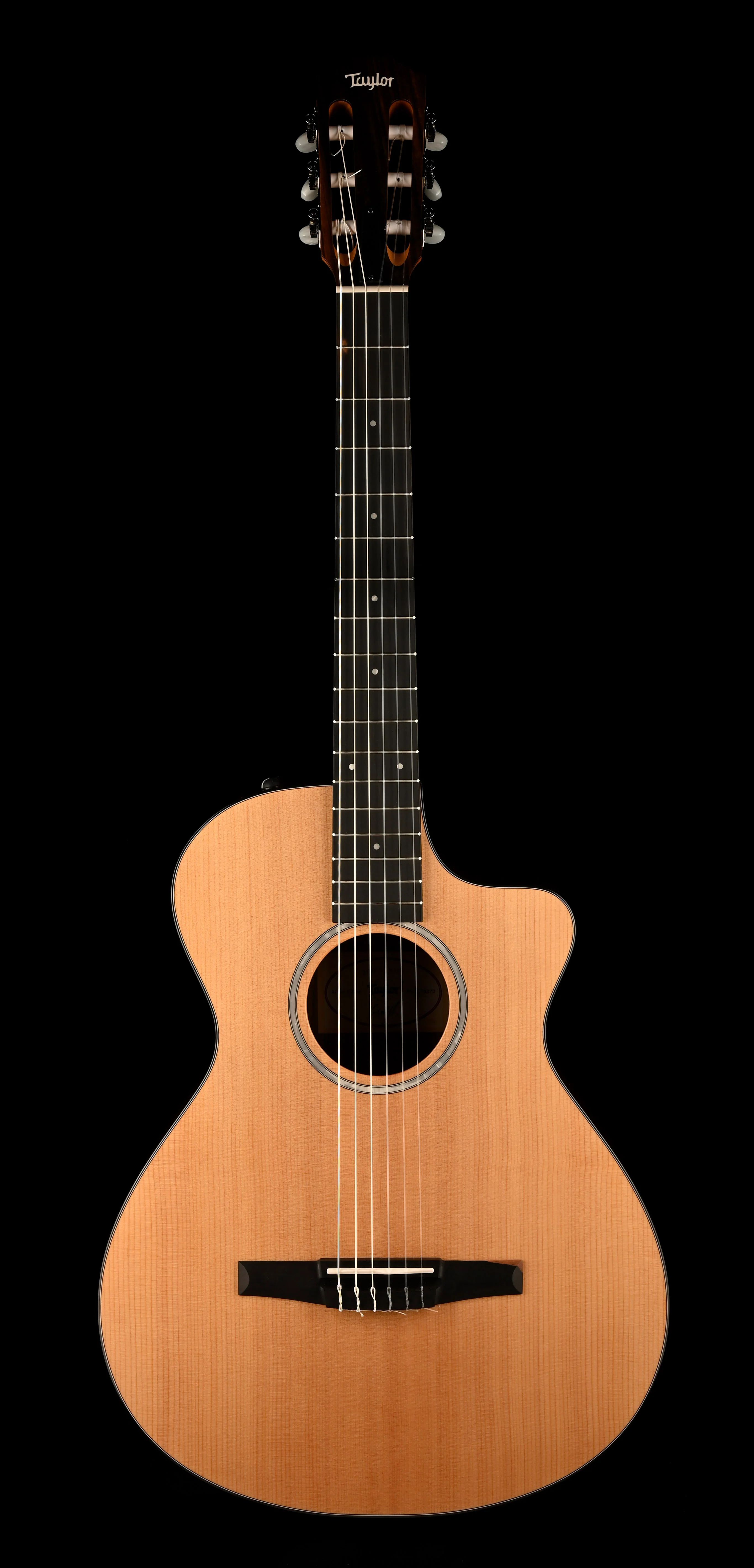 Taylor 212ce-N Nylon Plus Acoustic Electric Guitar With Case - Image 3