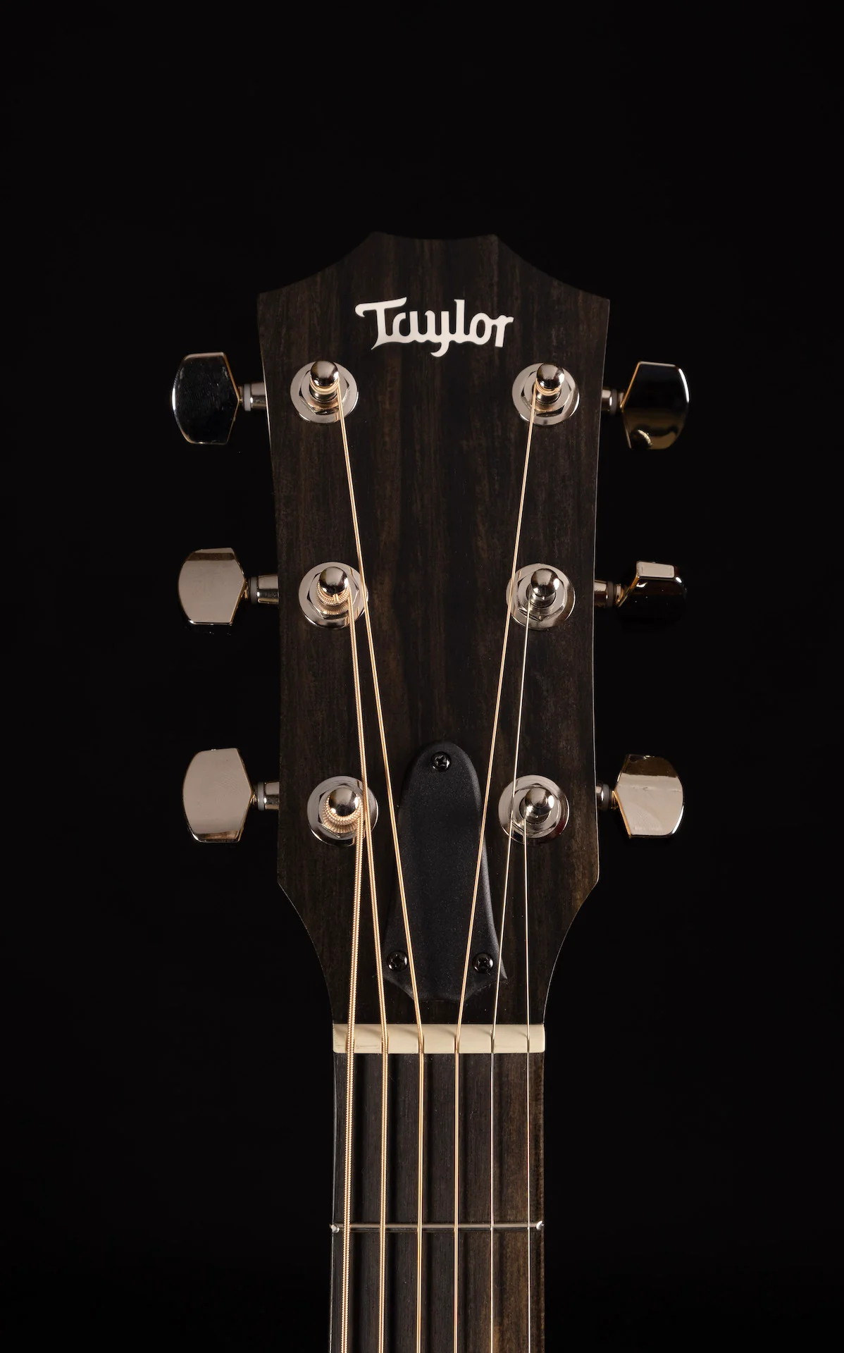 Taylor 214ce Plus Acoustic Electric Guitar With Aerocase - Image 12